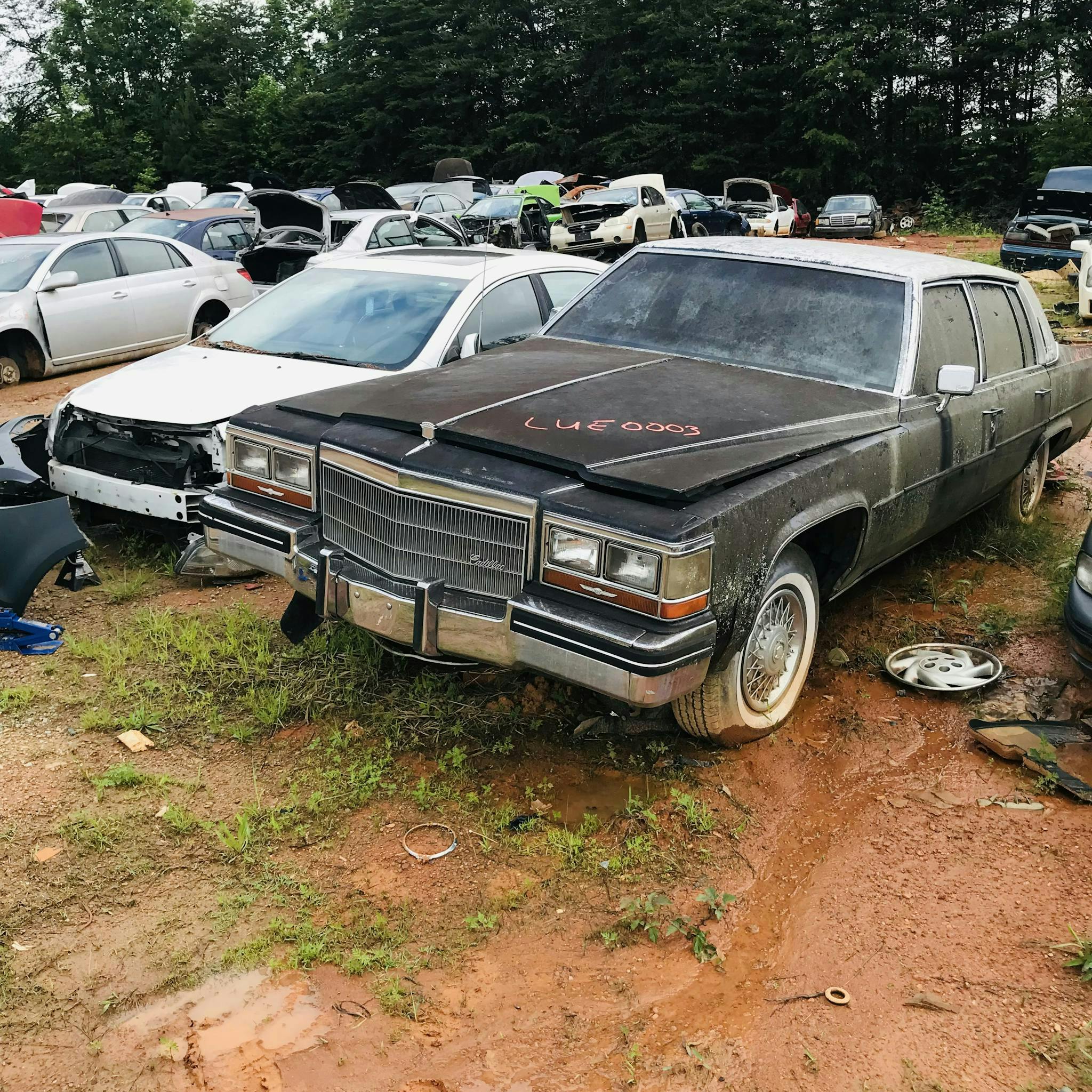 1984 CADILLAC Deville