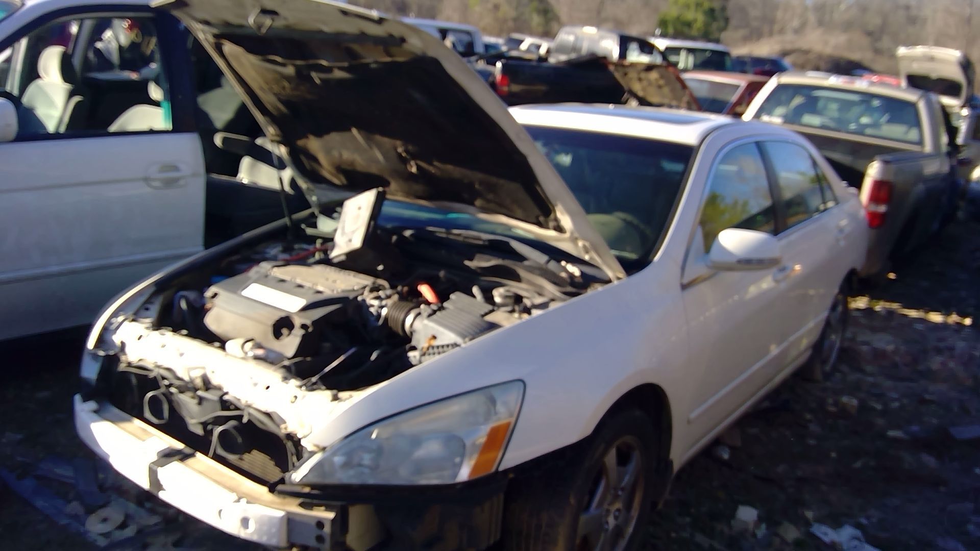 2006 HONDA Accord