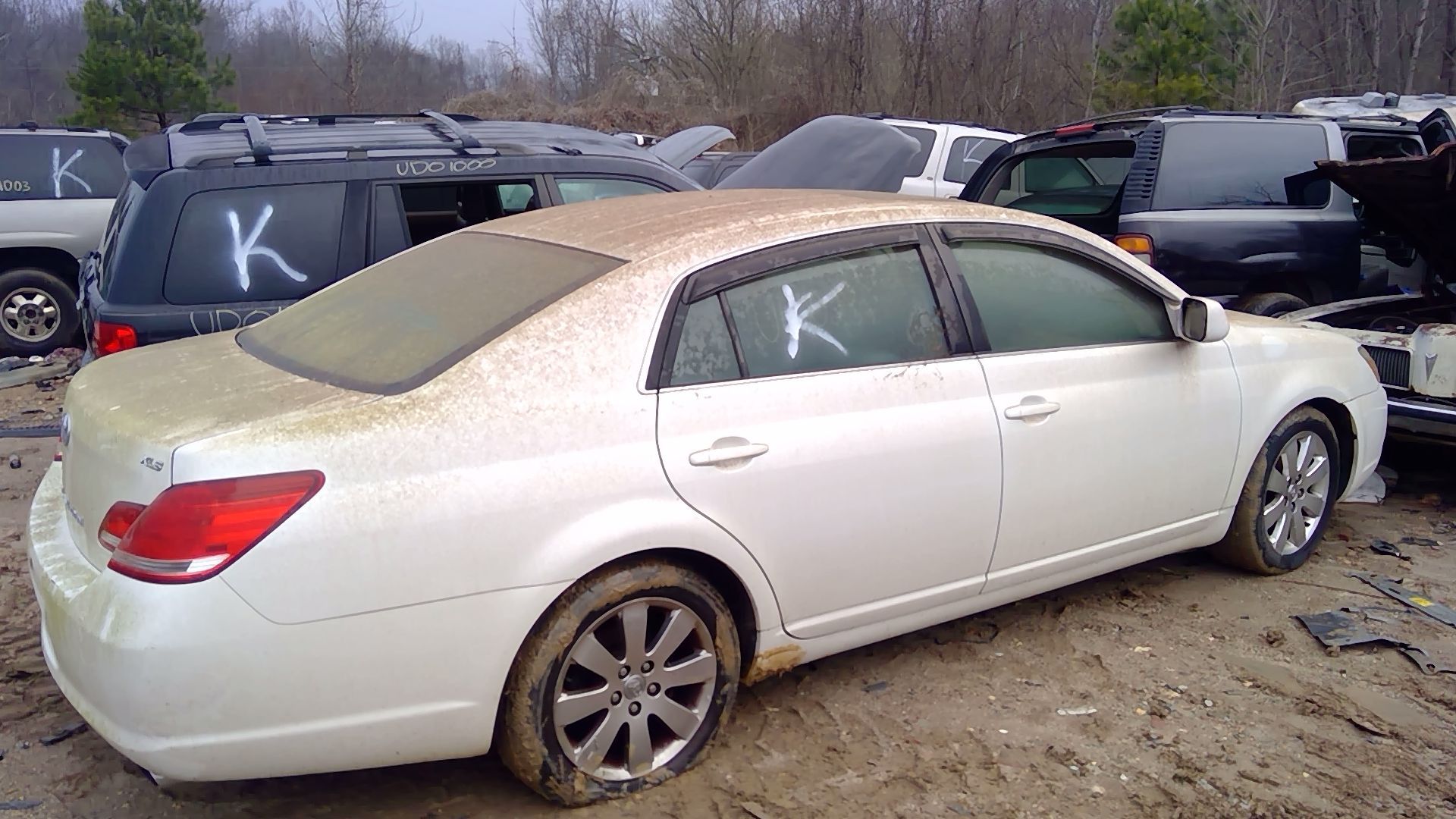 2005 TOYOTA Avalon