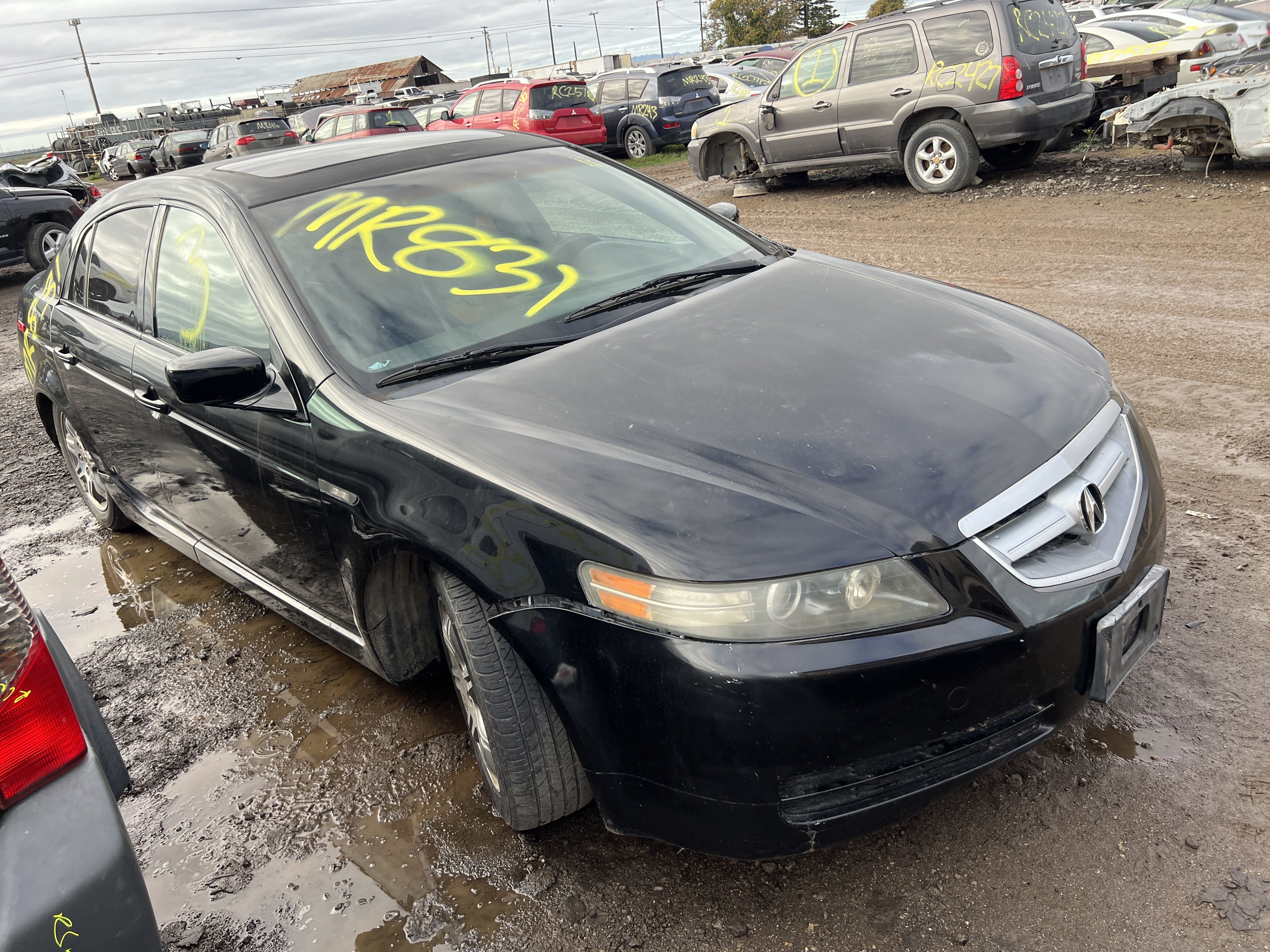 2005 ACURA Tl