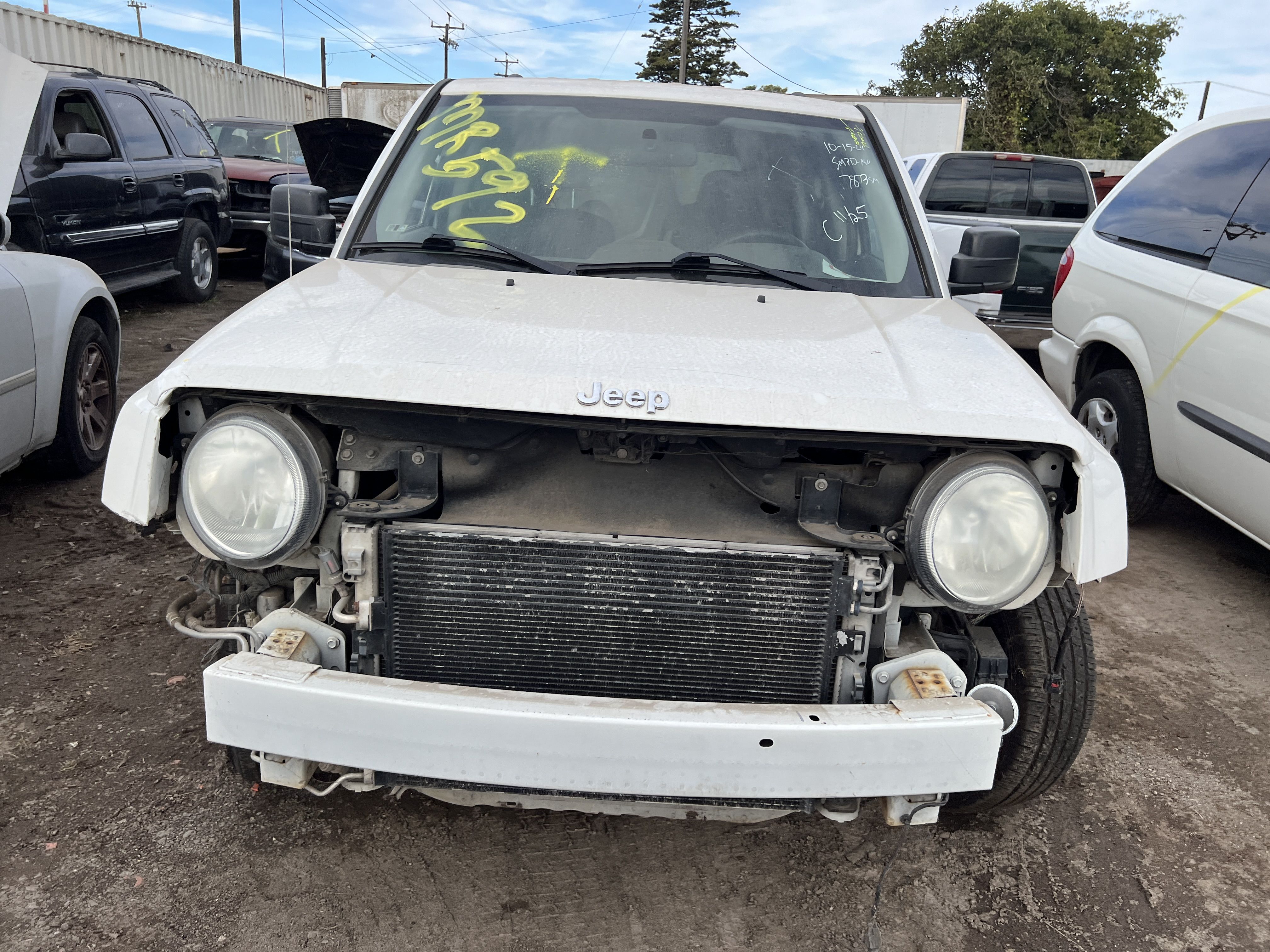2010 JEEP Patriot