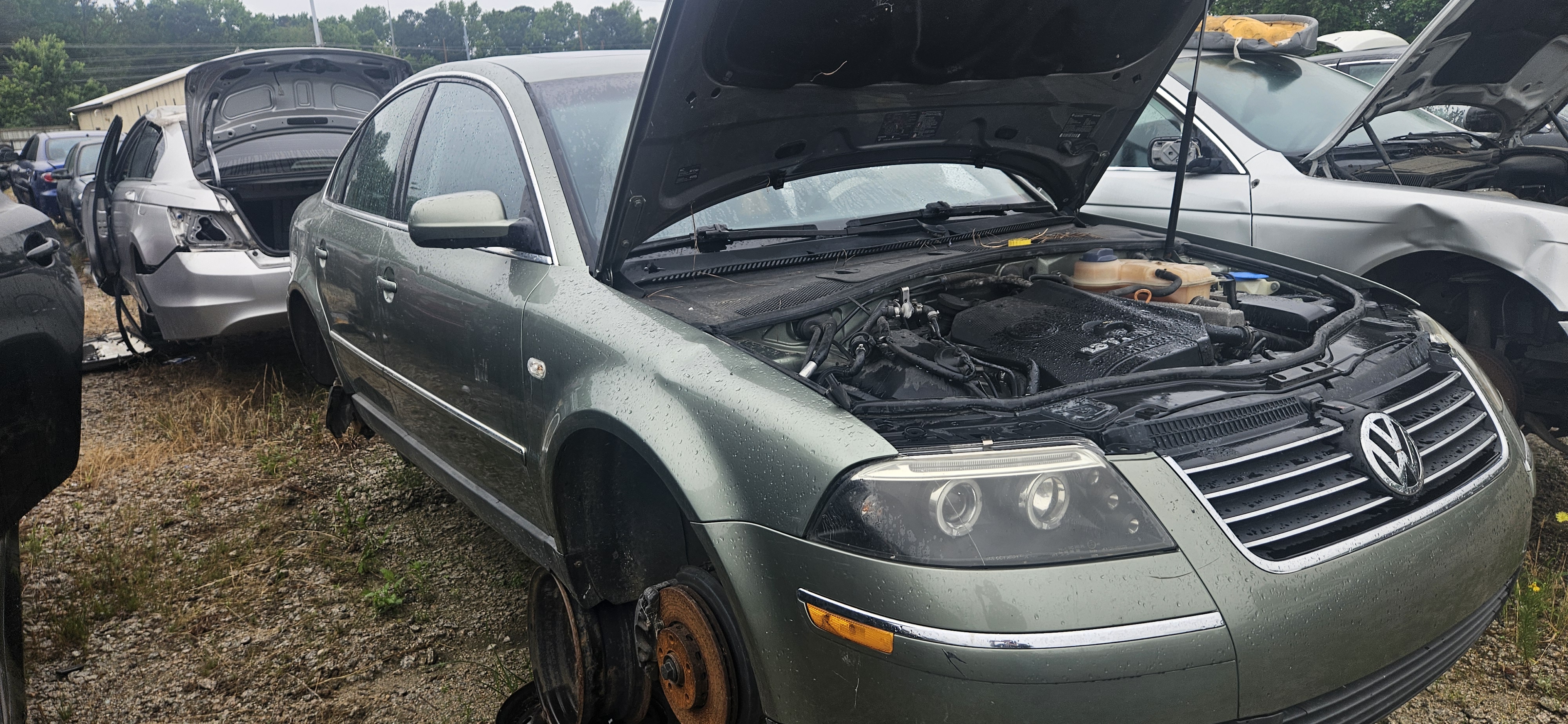 2004 VOLKSWAGEN Passat