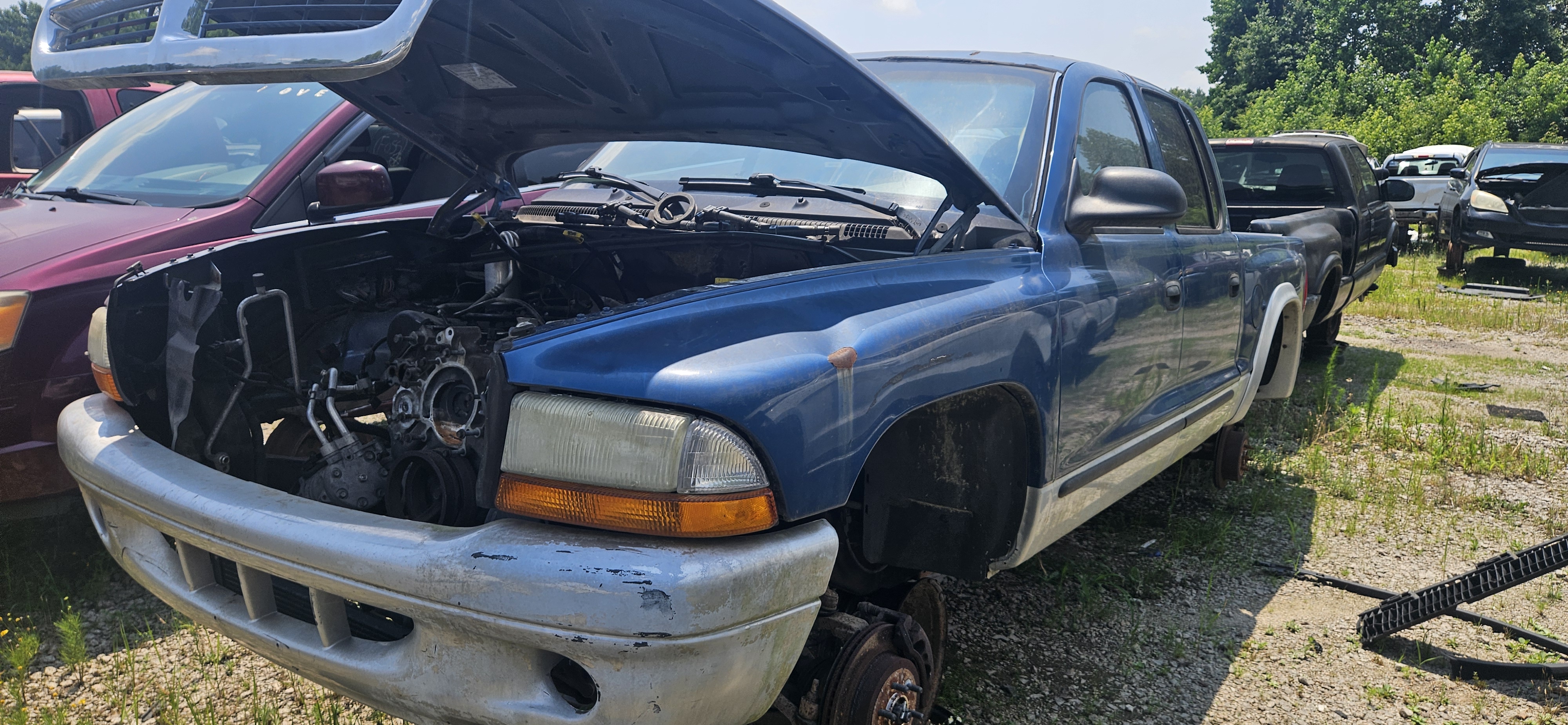 2003 DODGE Dakota