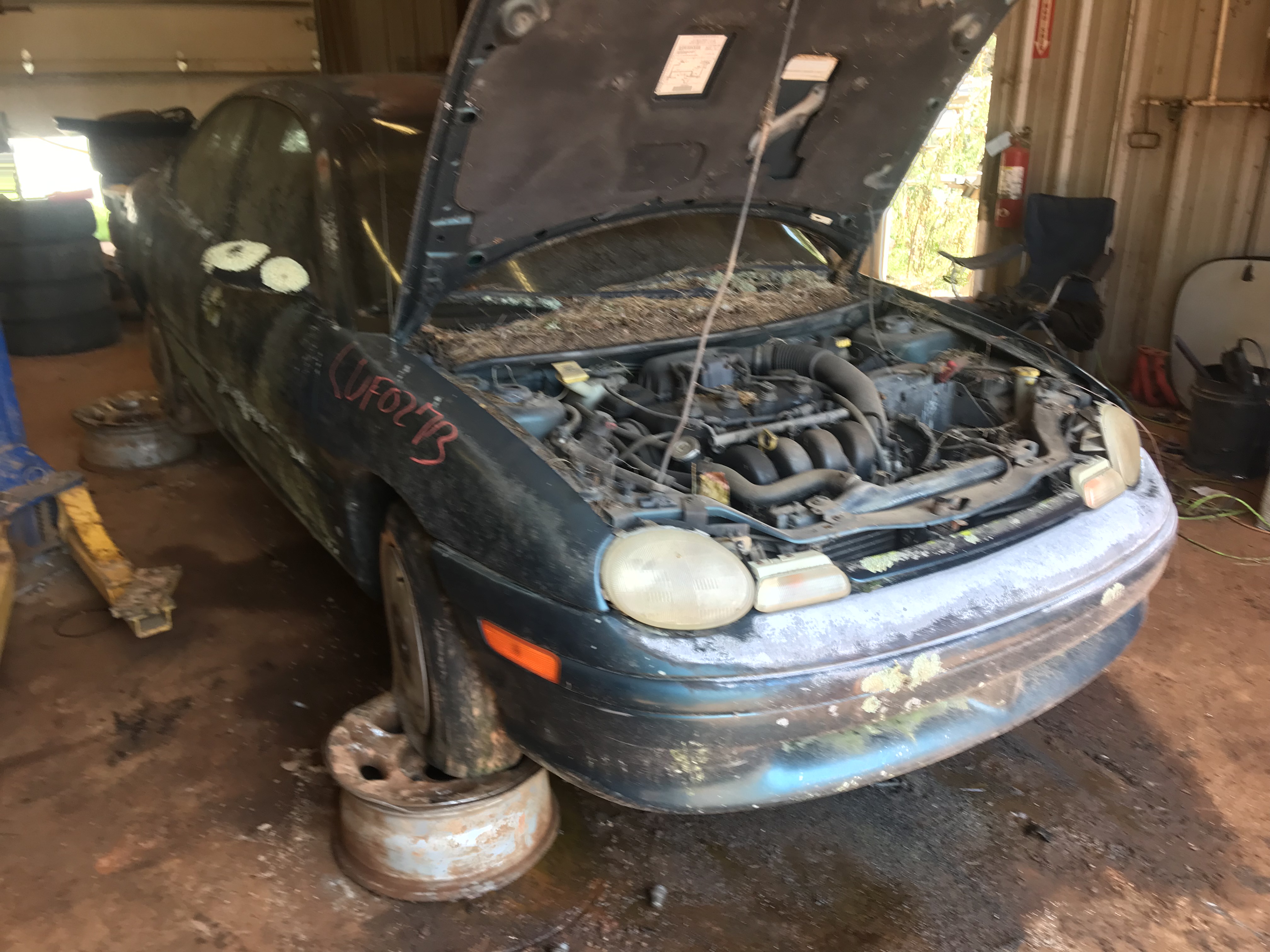 1995 DODGE Neon