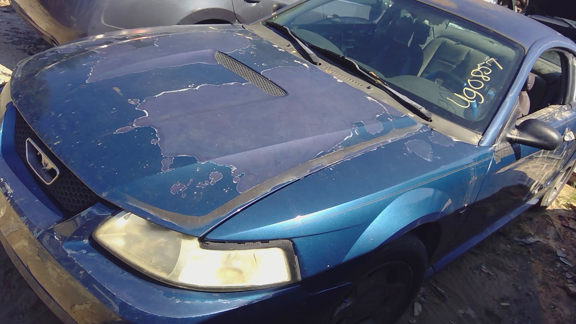 2000 FORD Mustang