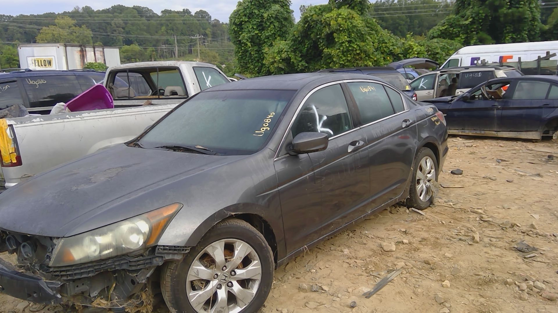 2010 HONDA Accord