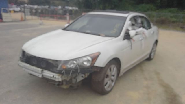 2008 HONDA Accord