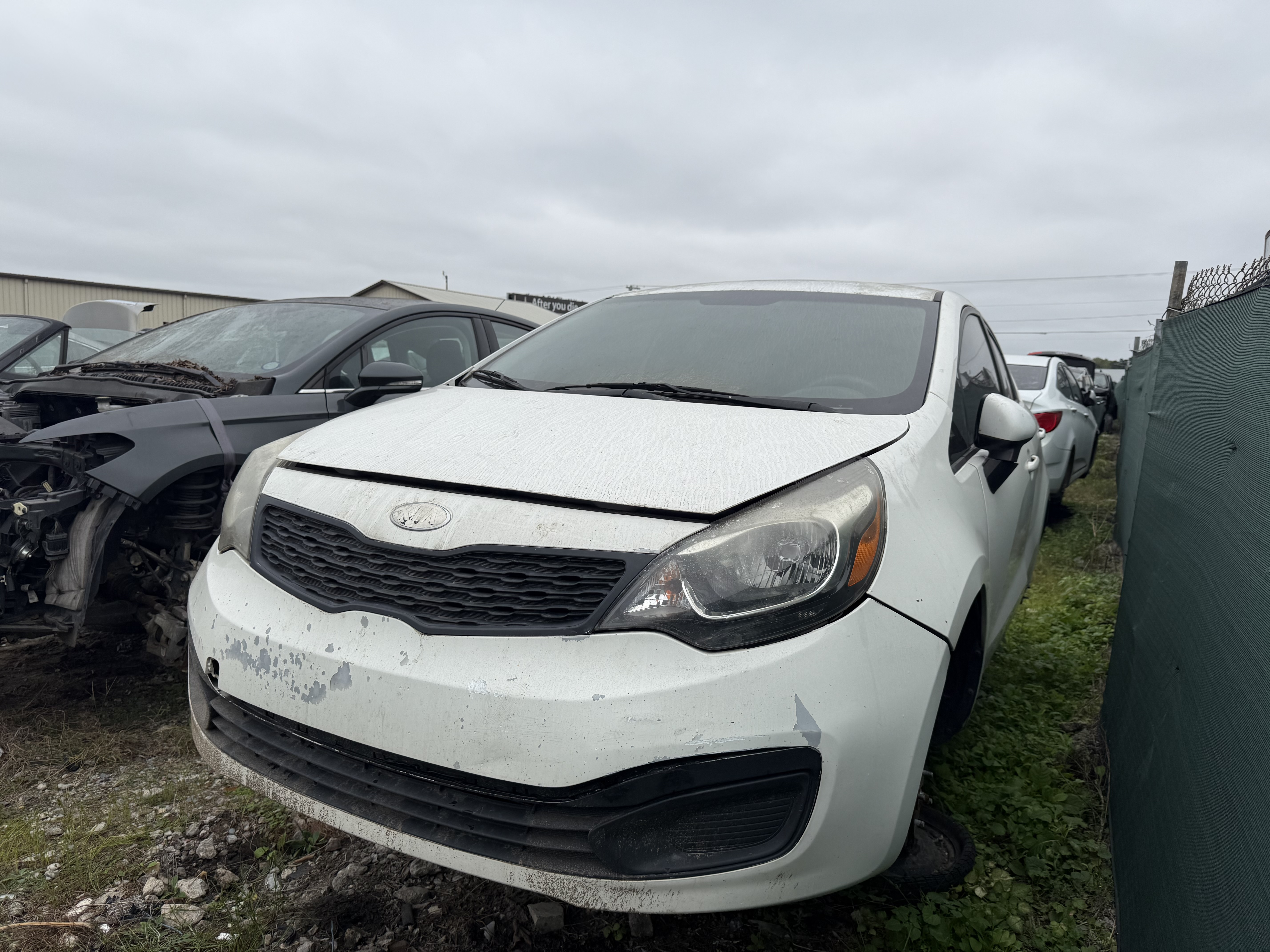2013 KIA Rio
