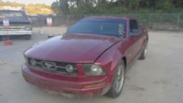 2006 FORD Mustang