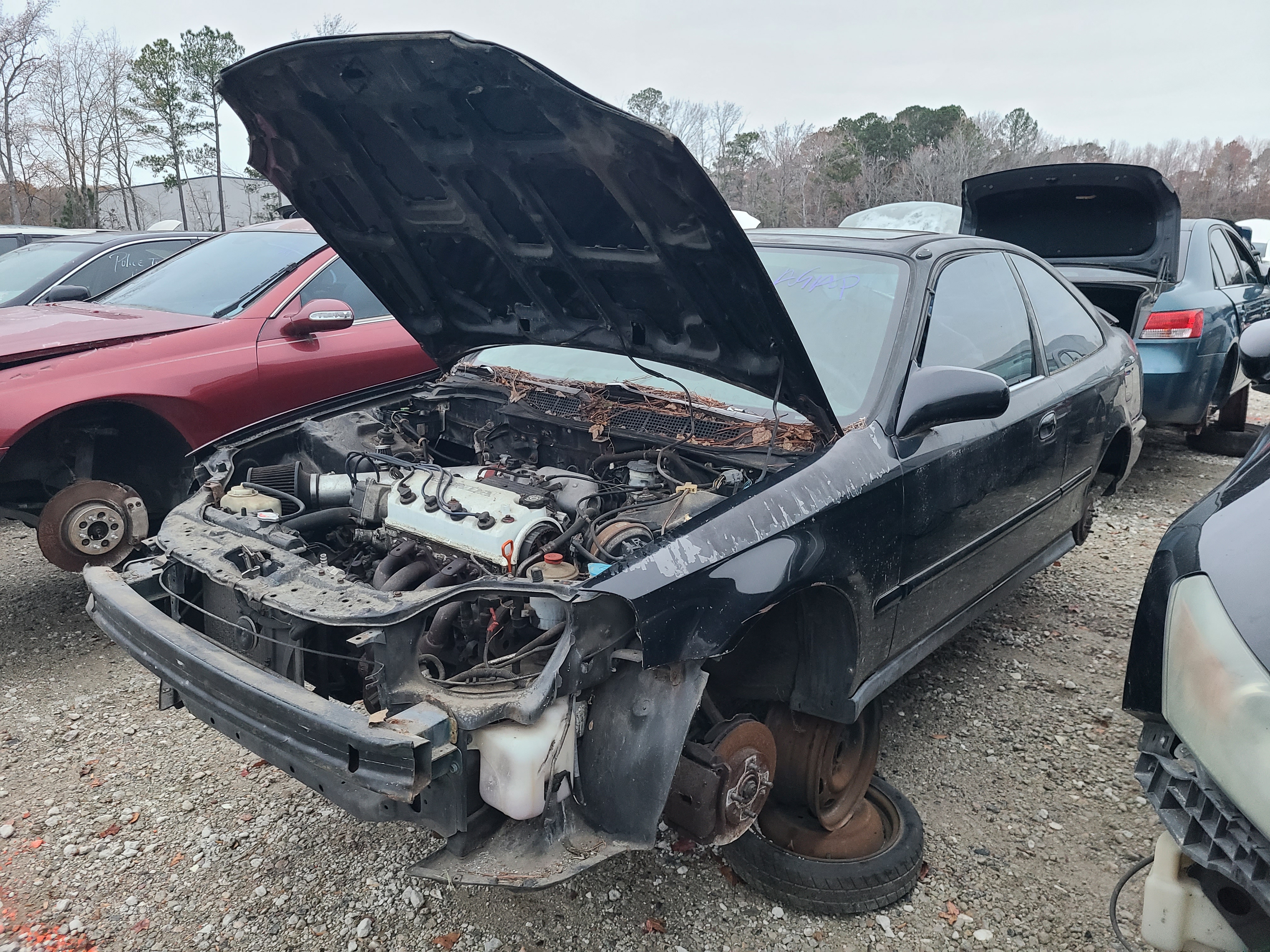 1999 HONDA Civic