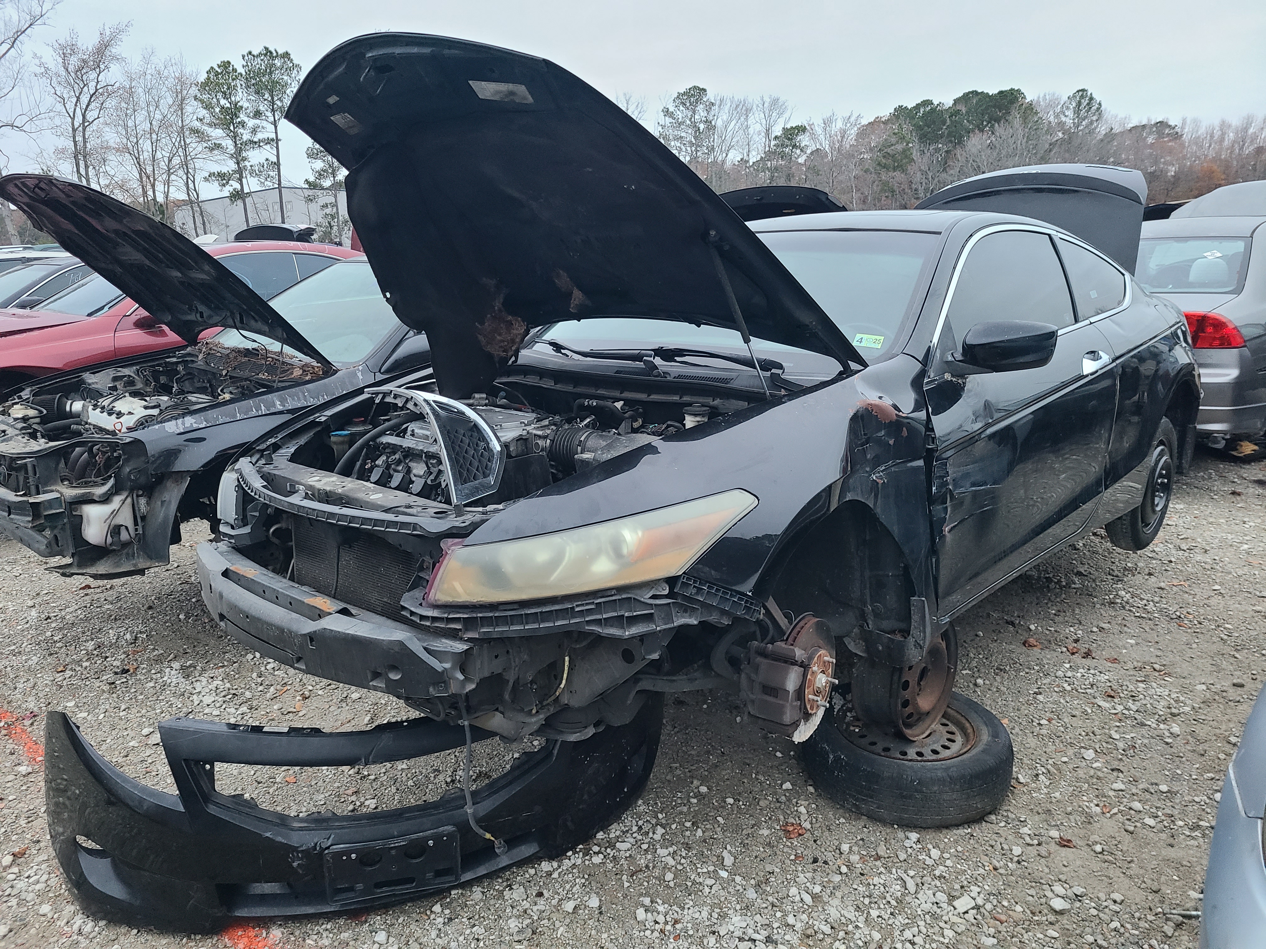 2009 HONDA Accord