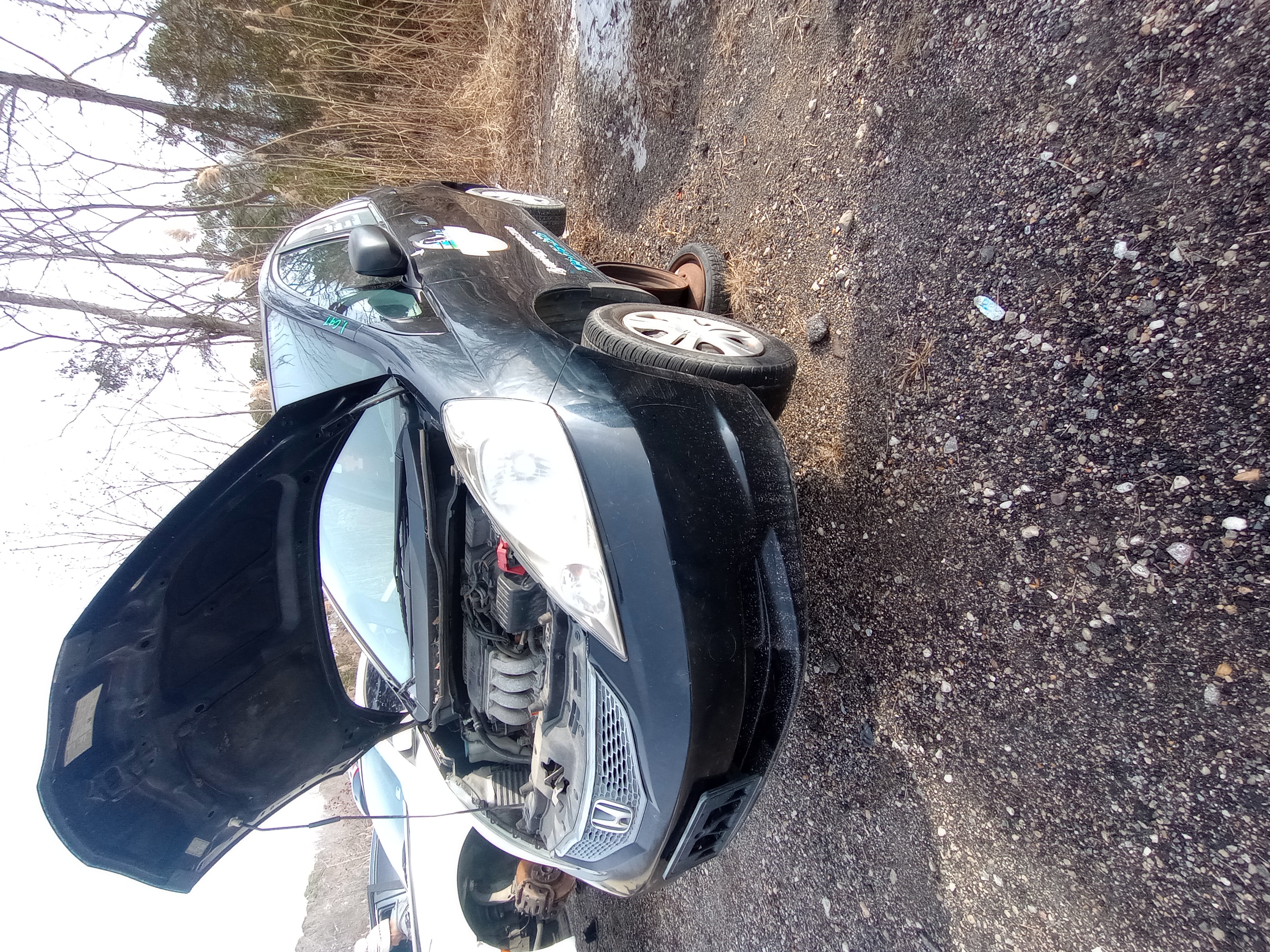 2010 HONDA Fit
