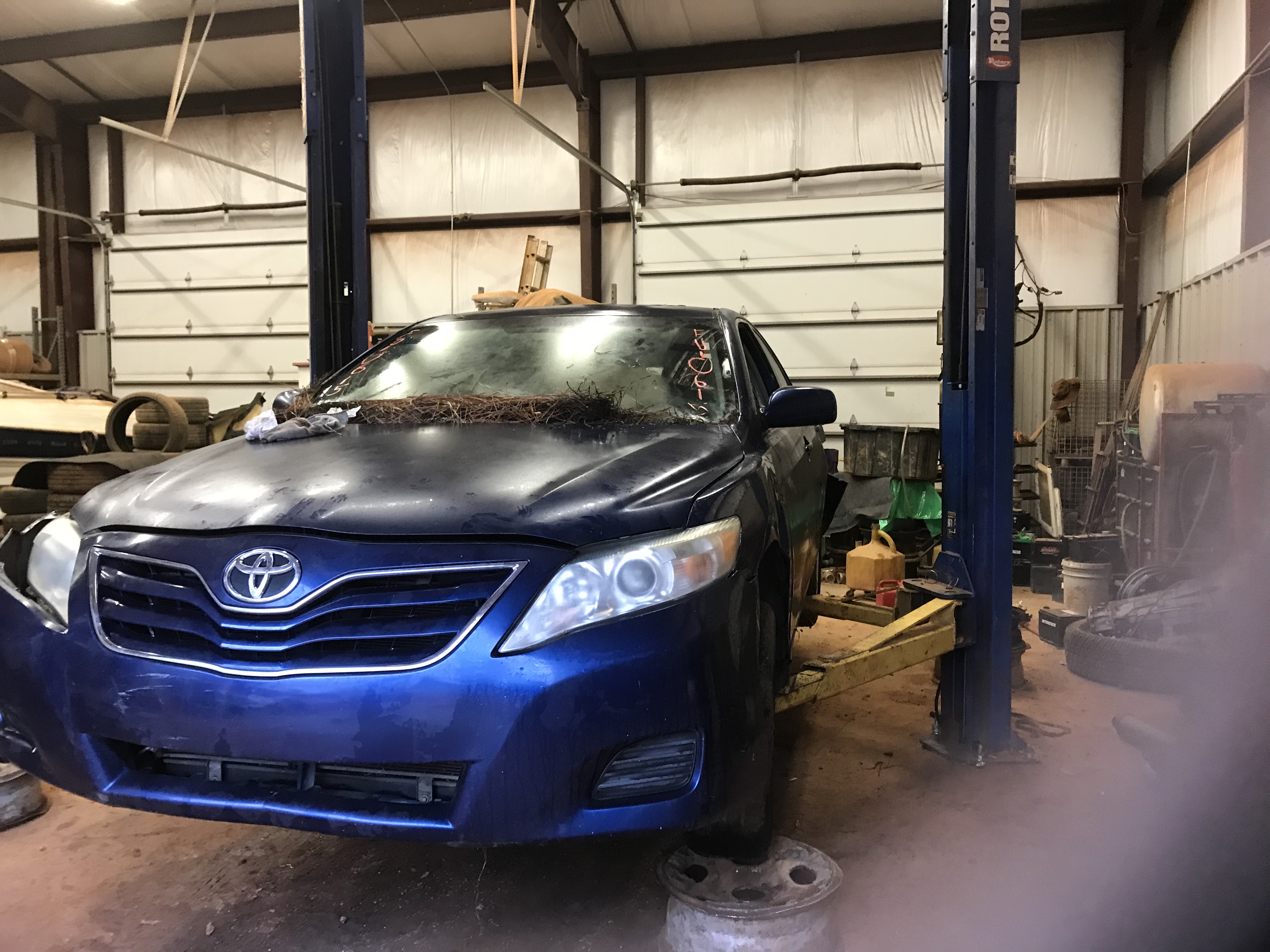 2010 TOYOTA Camry