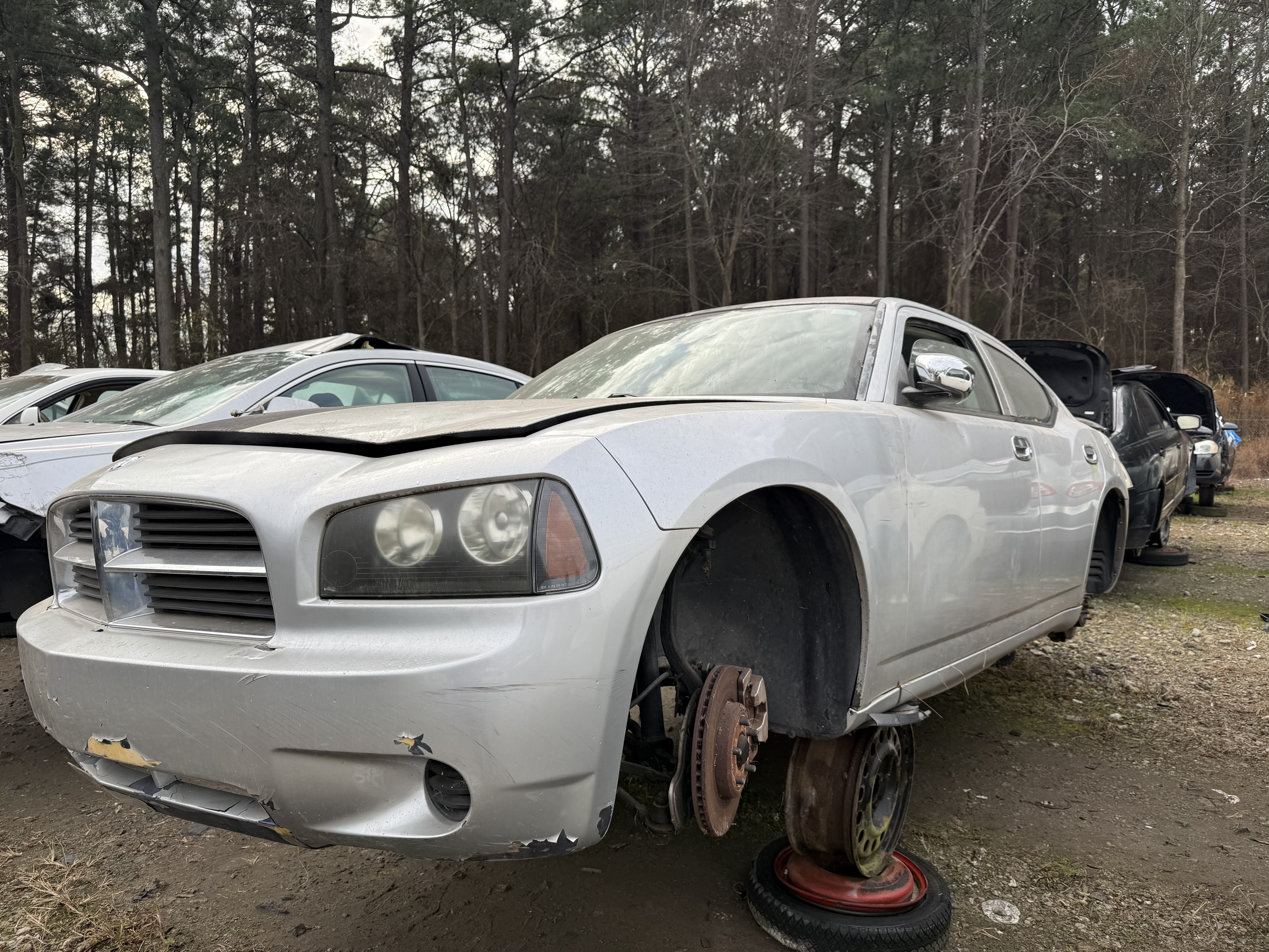 2010 DODGE Charger