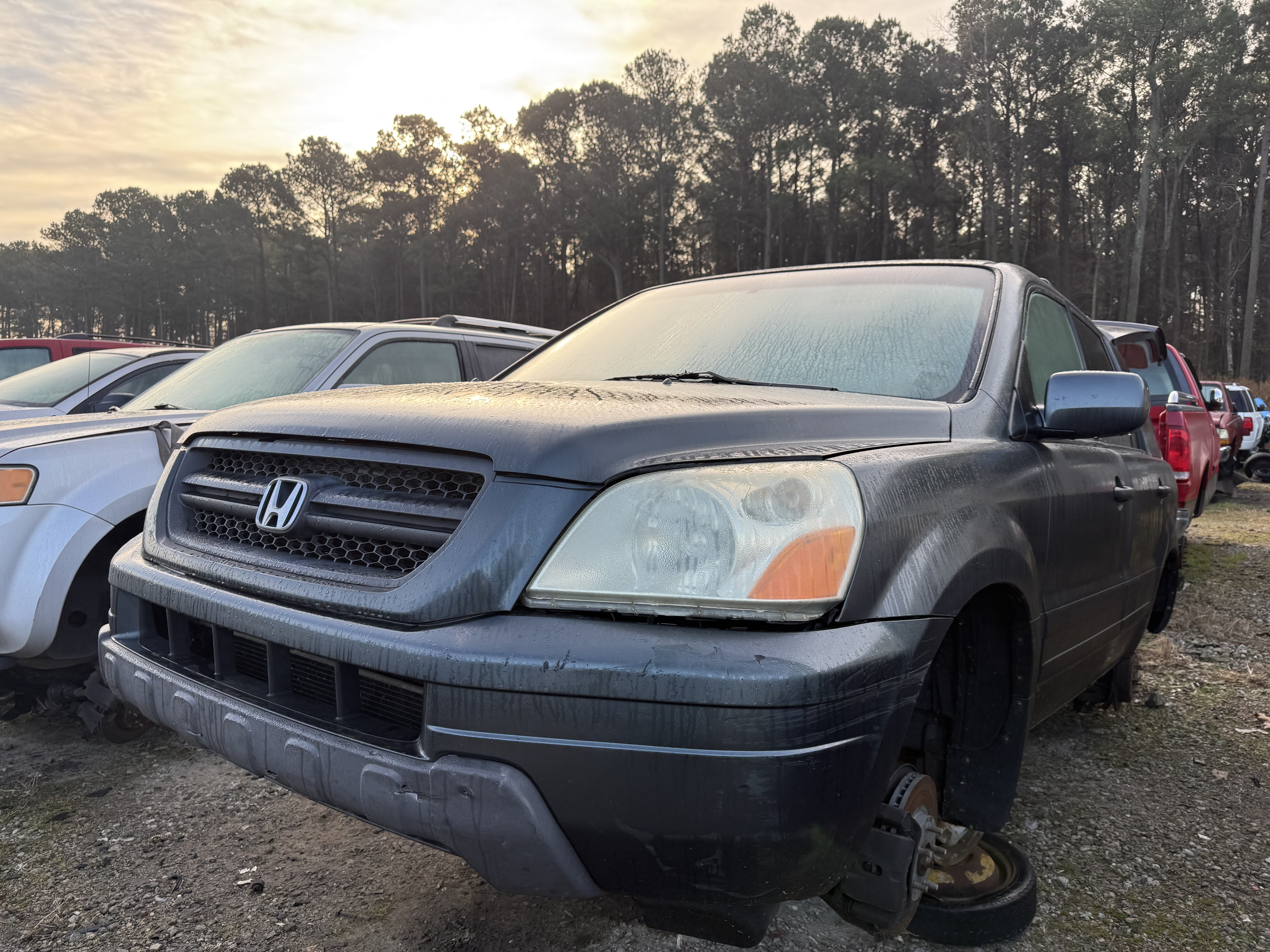 2004 HONDA Pilot