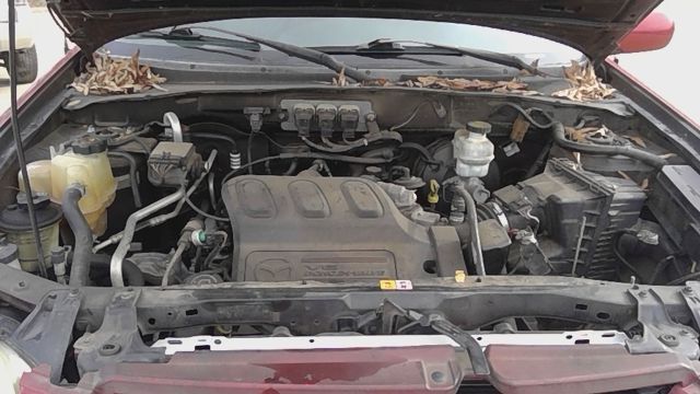 2006 MAZDA Tribute