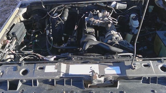 1991 FORD Ranger