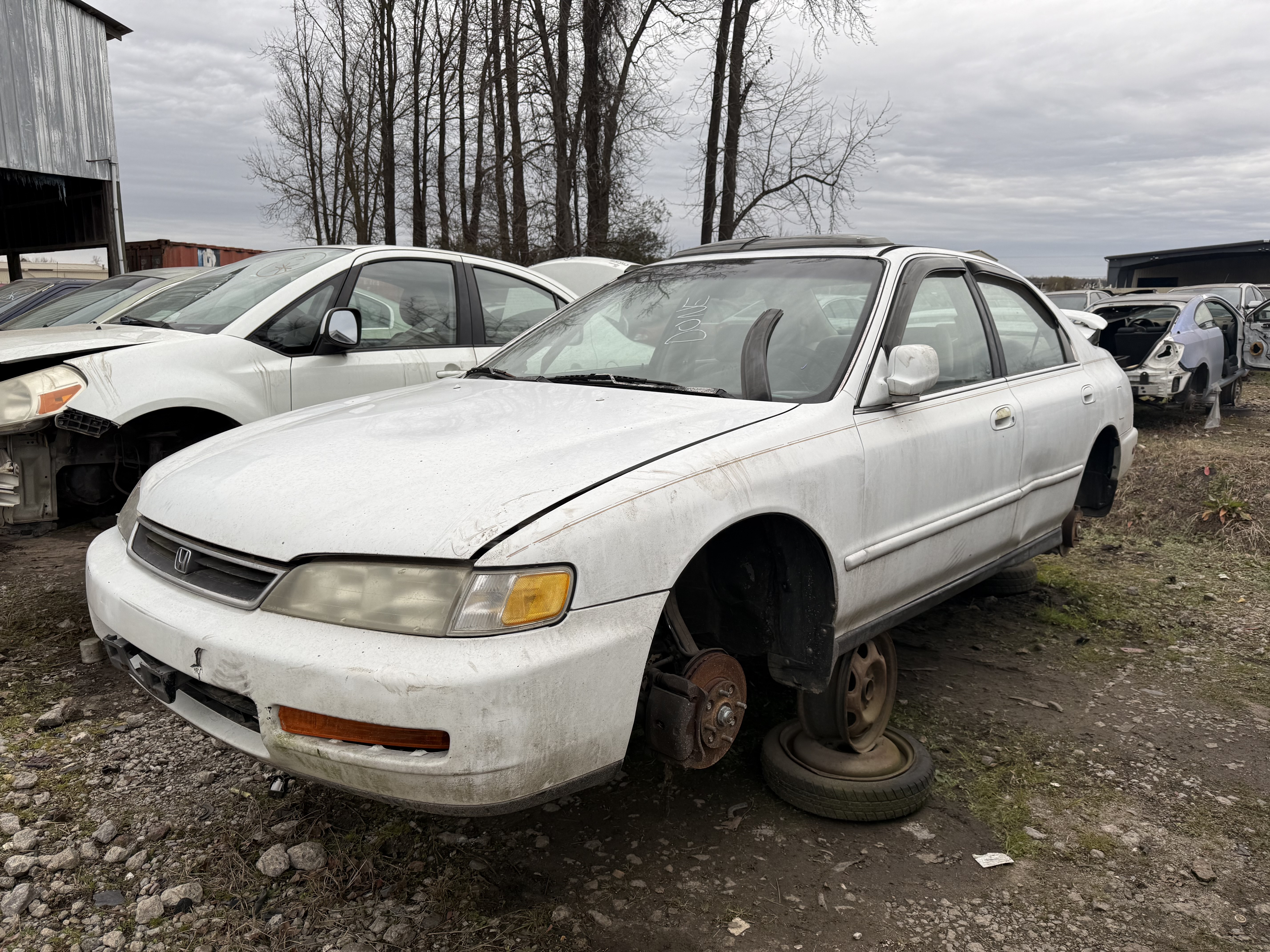 1996 HONDA Accord