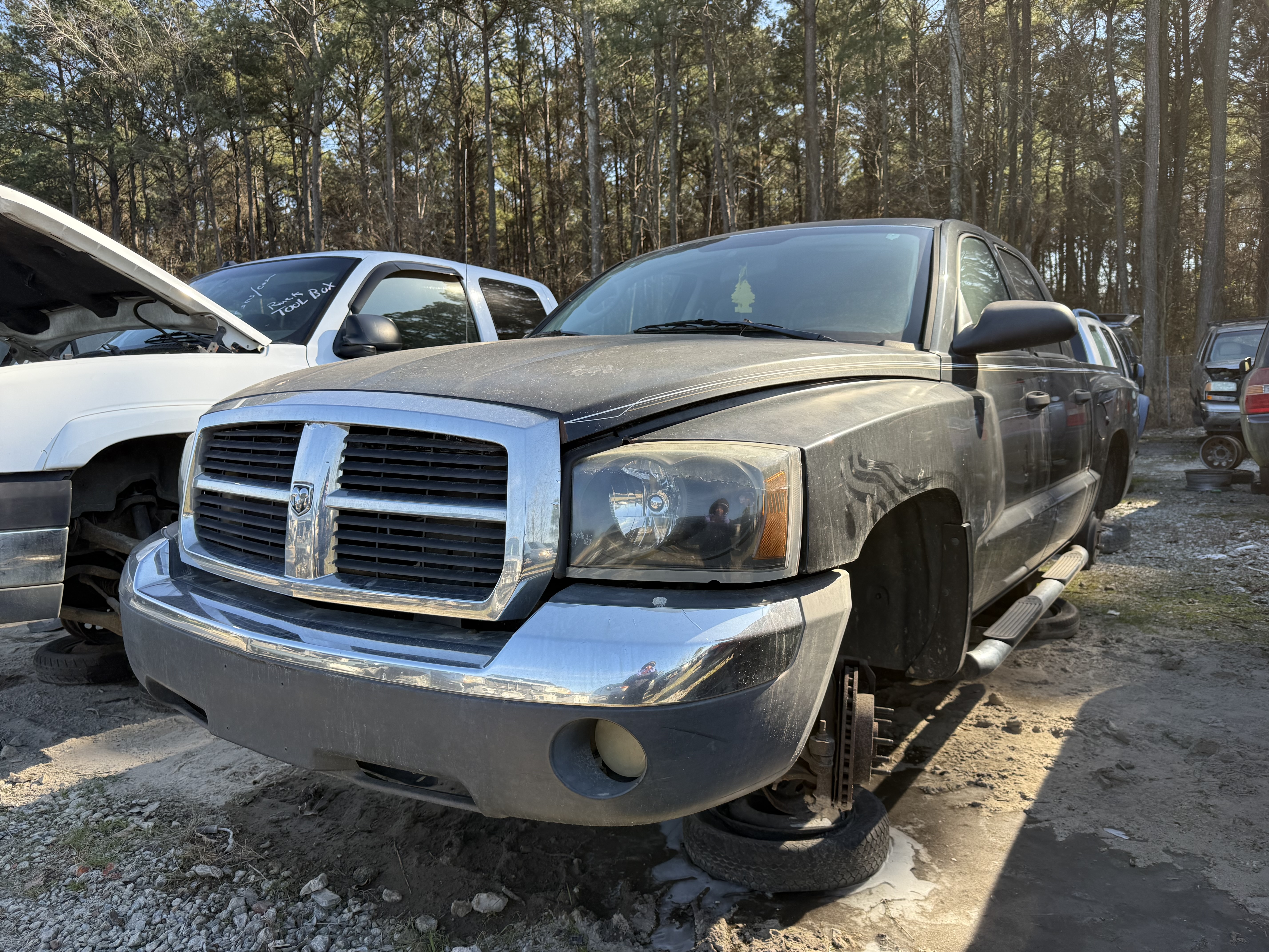 2007 DODGE Dakota