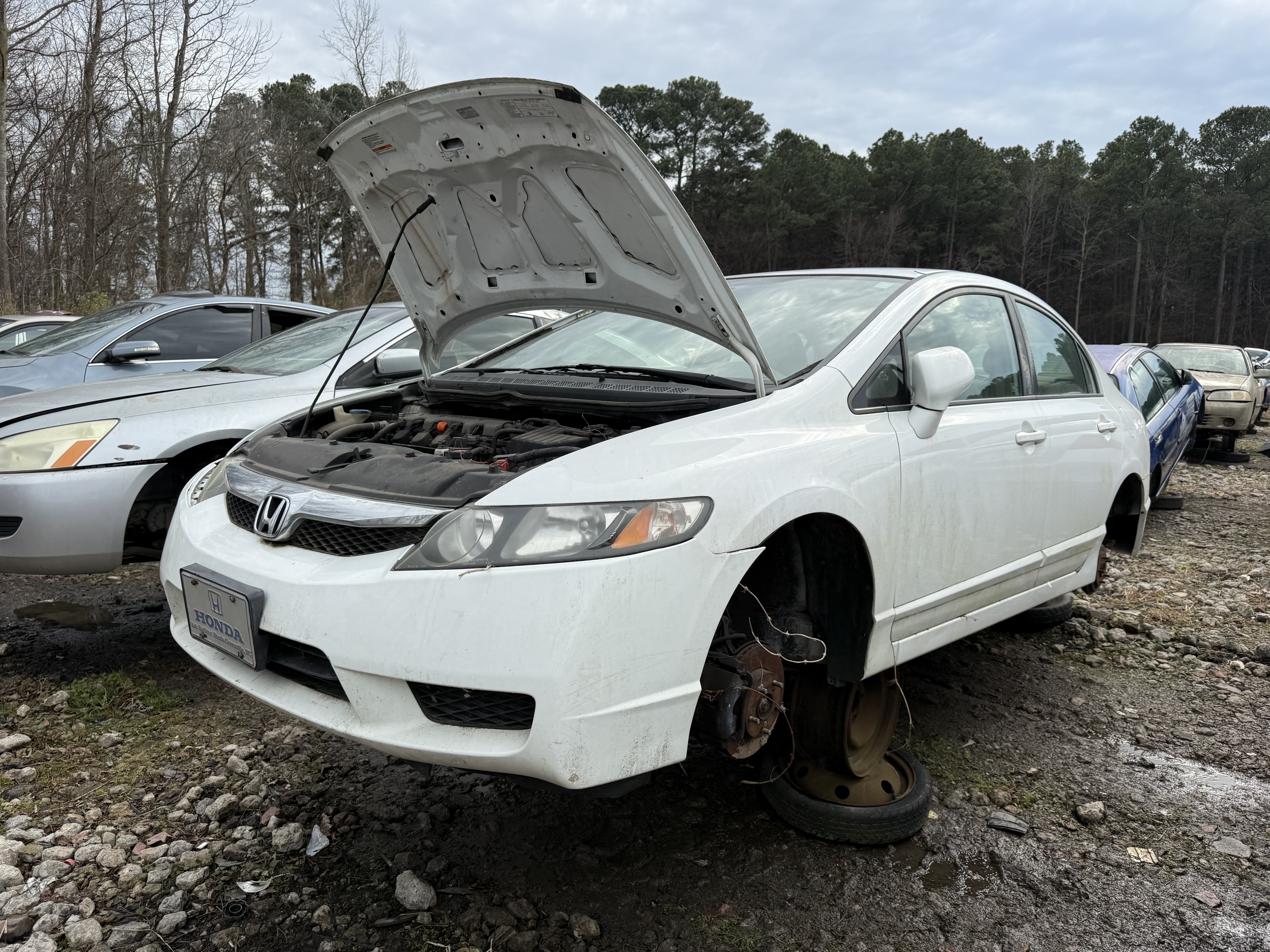2009 HONDA Civic