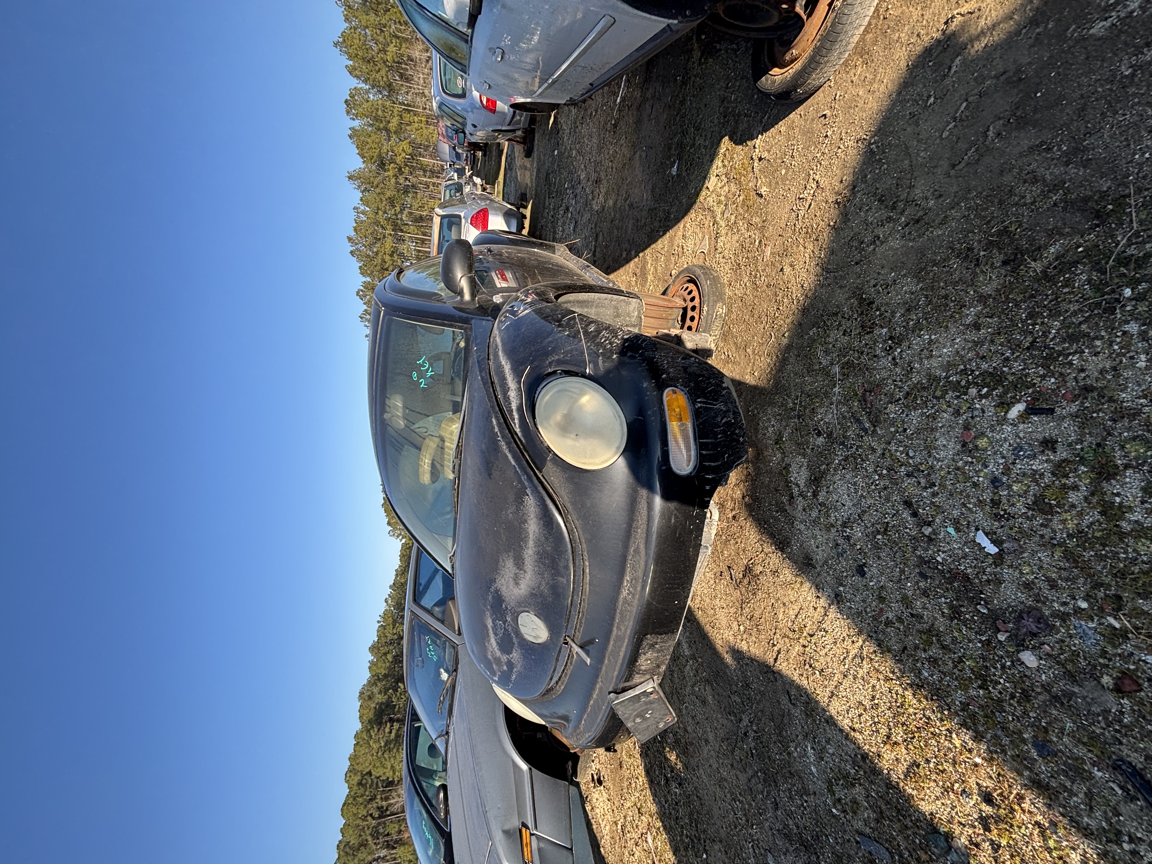 2001 VOLKSWAGEN Beetle