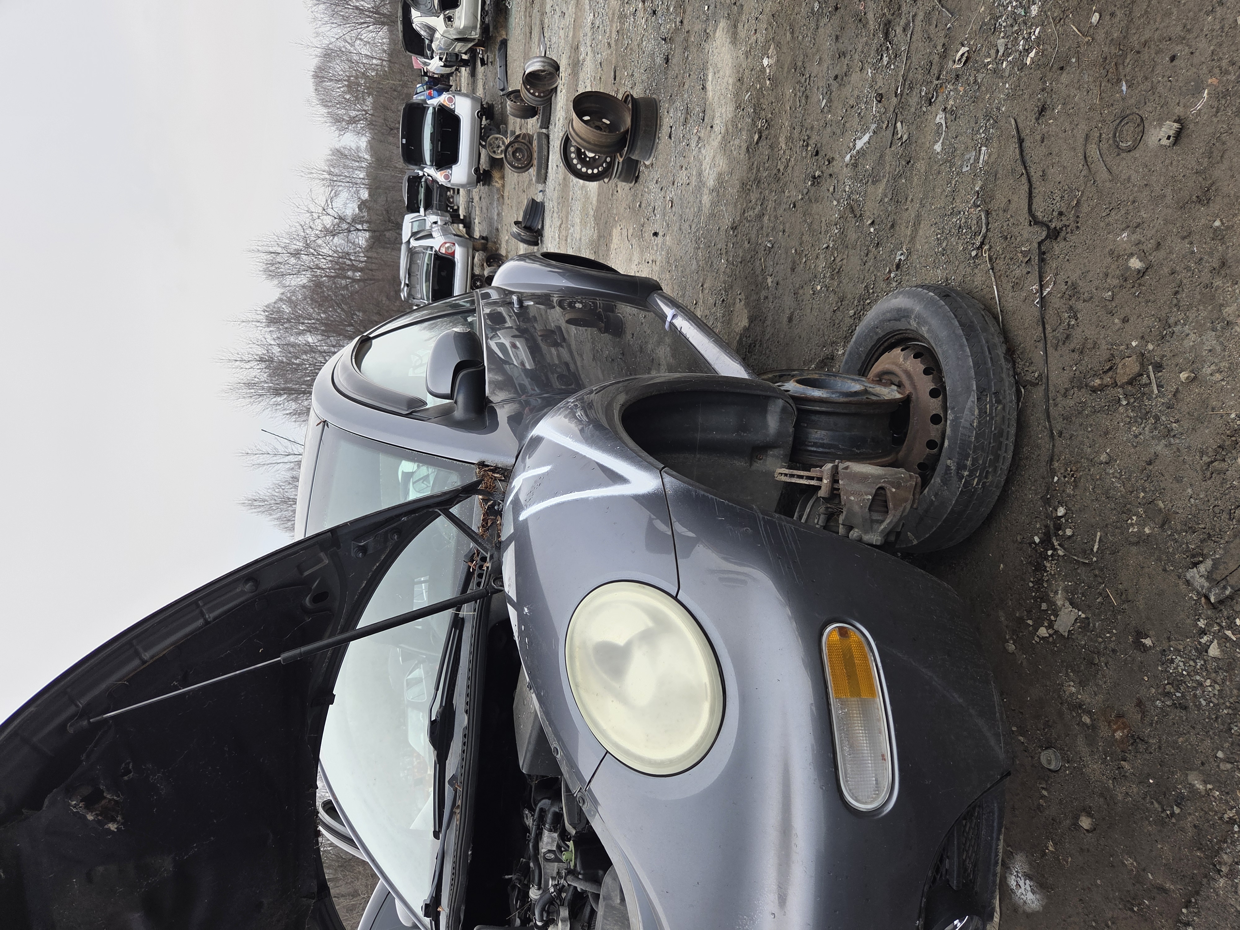 2005 VOLKSWAGEN Beetle
