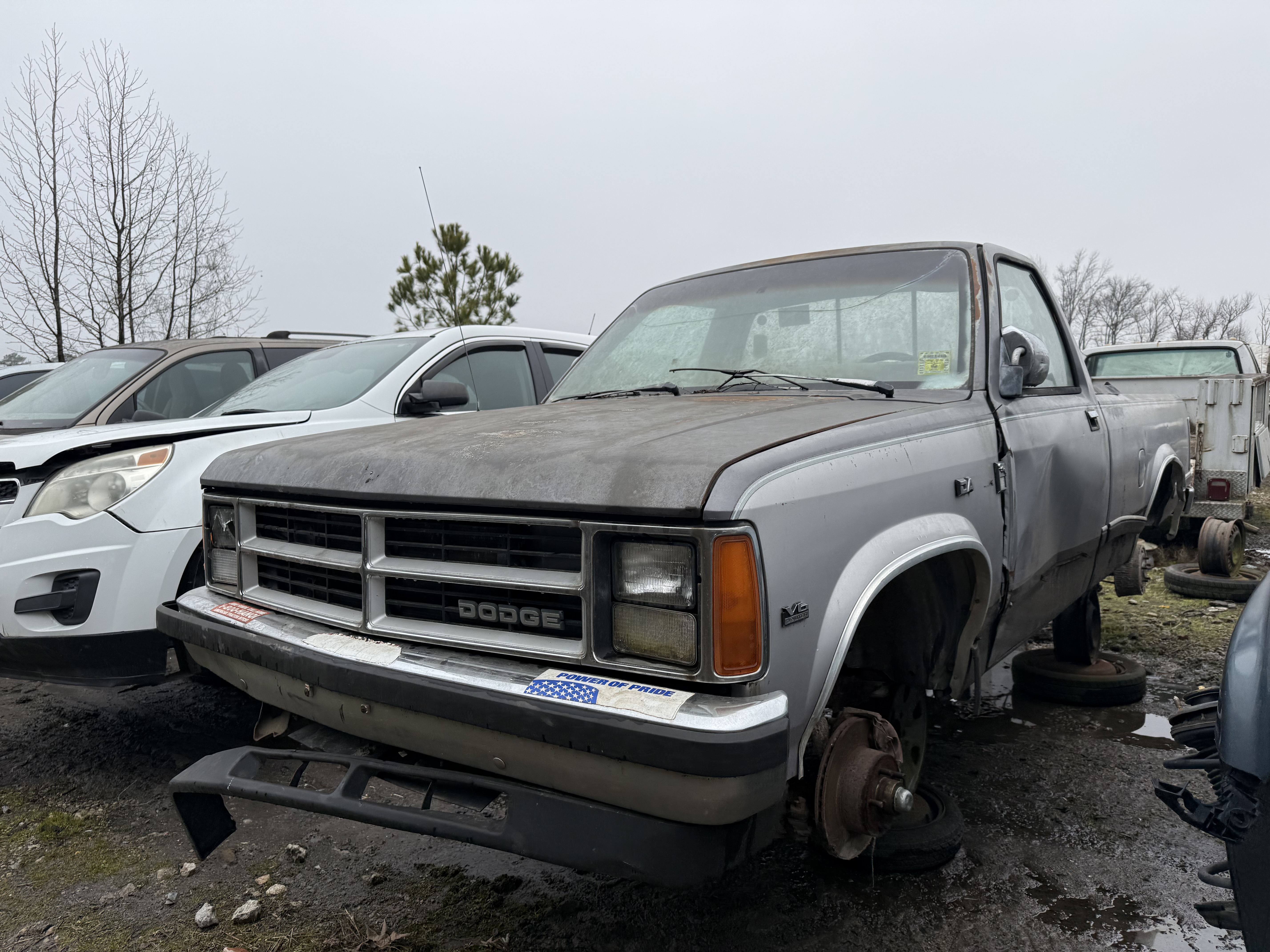 1989 DODGE Dakota