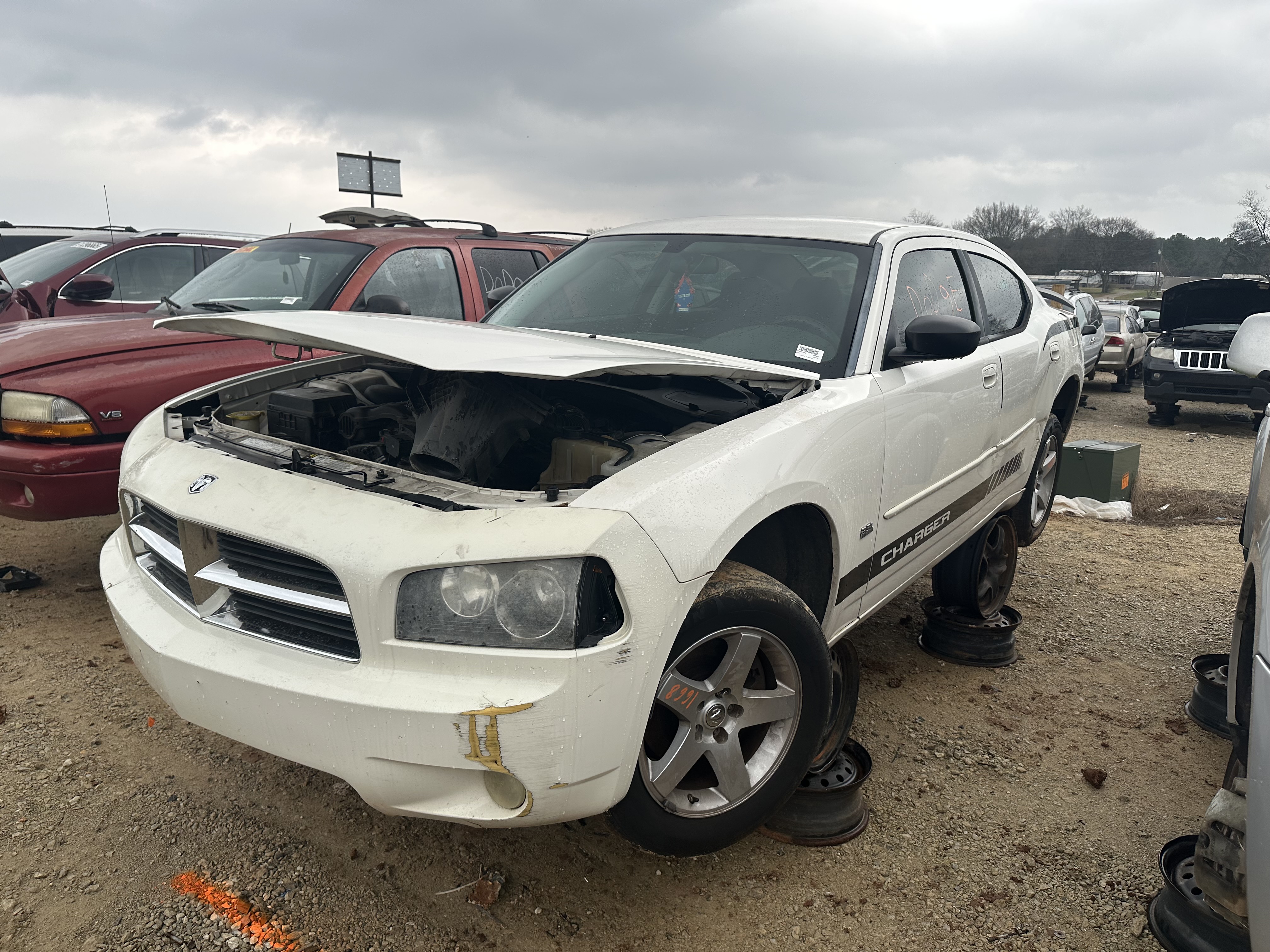 2009 DODGE Charger