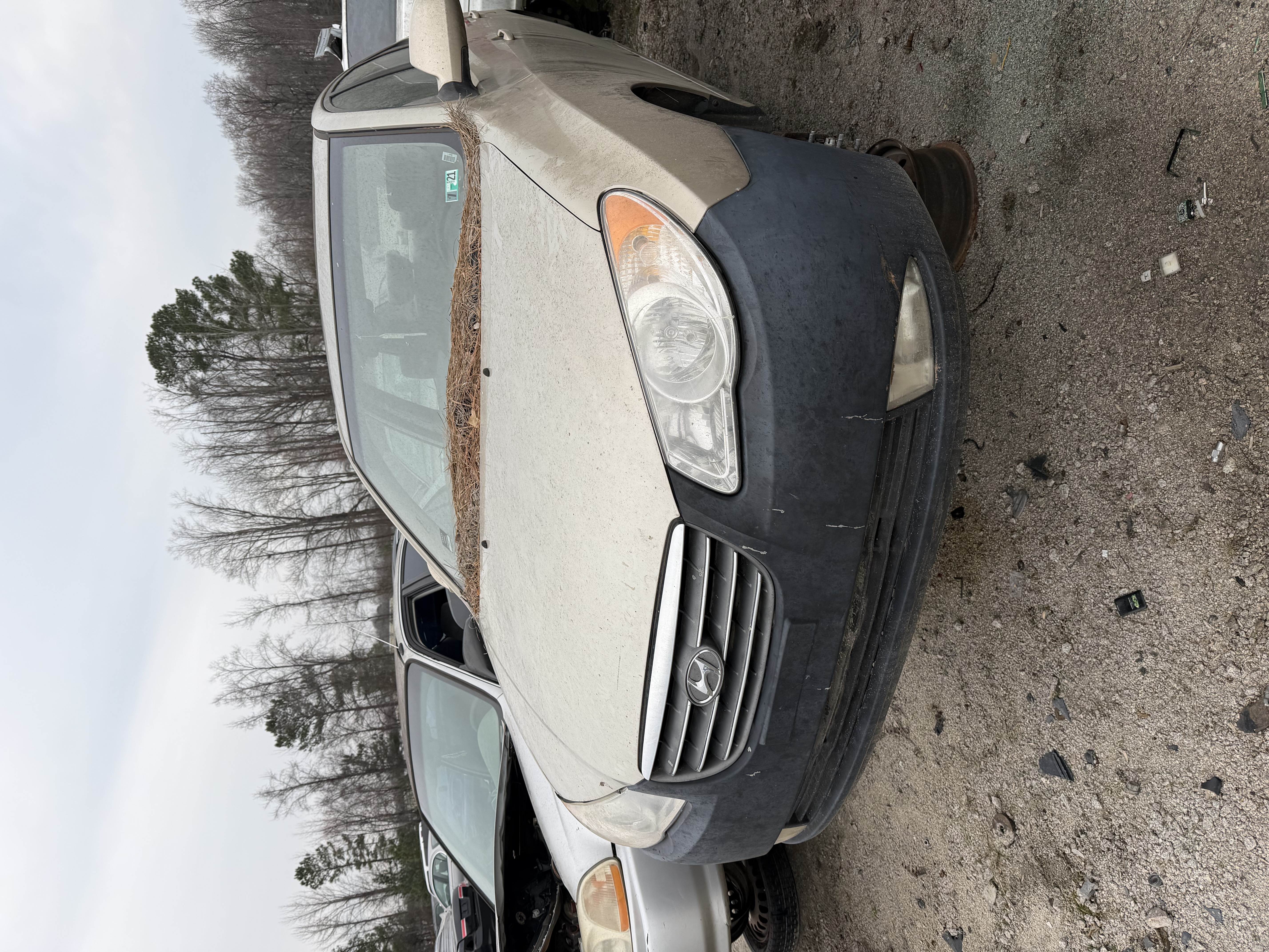 2008 HYUNDAI Elantra