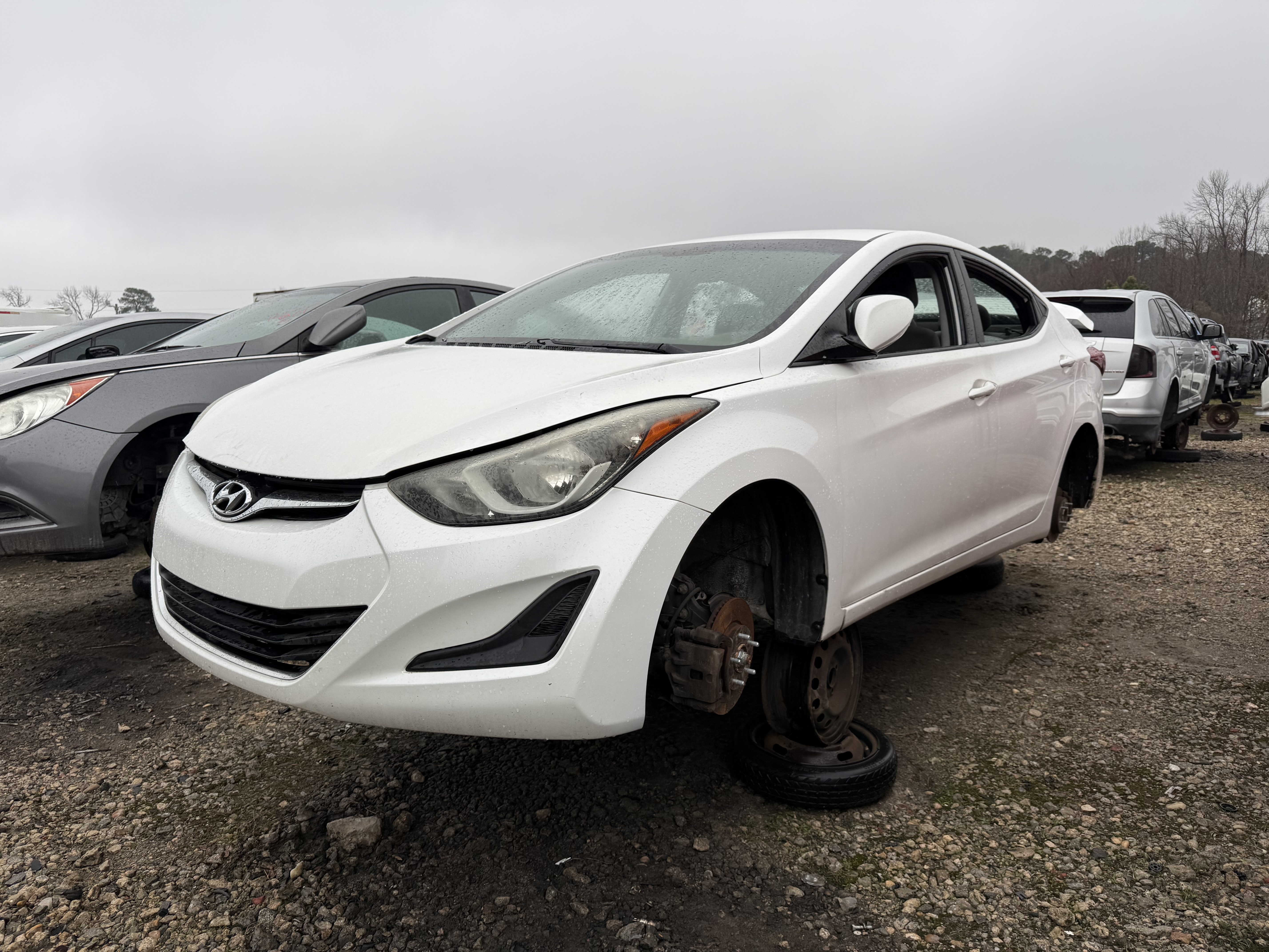 2014 HYUNDAI Elantra