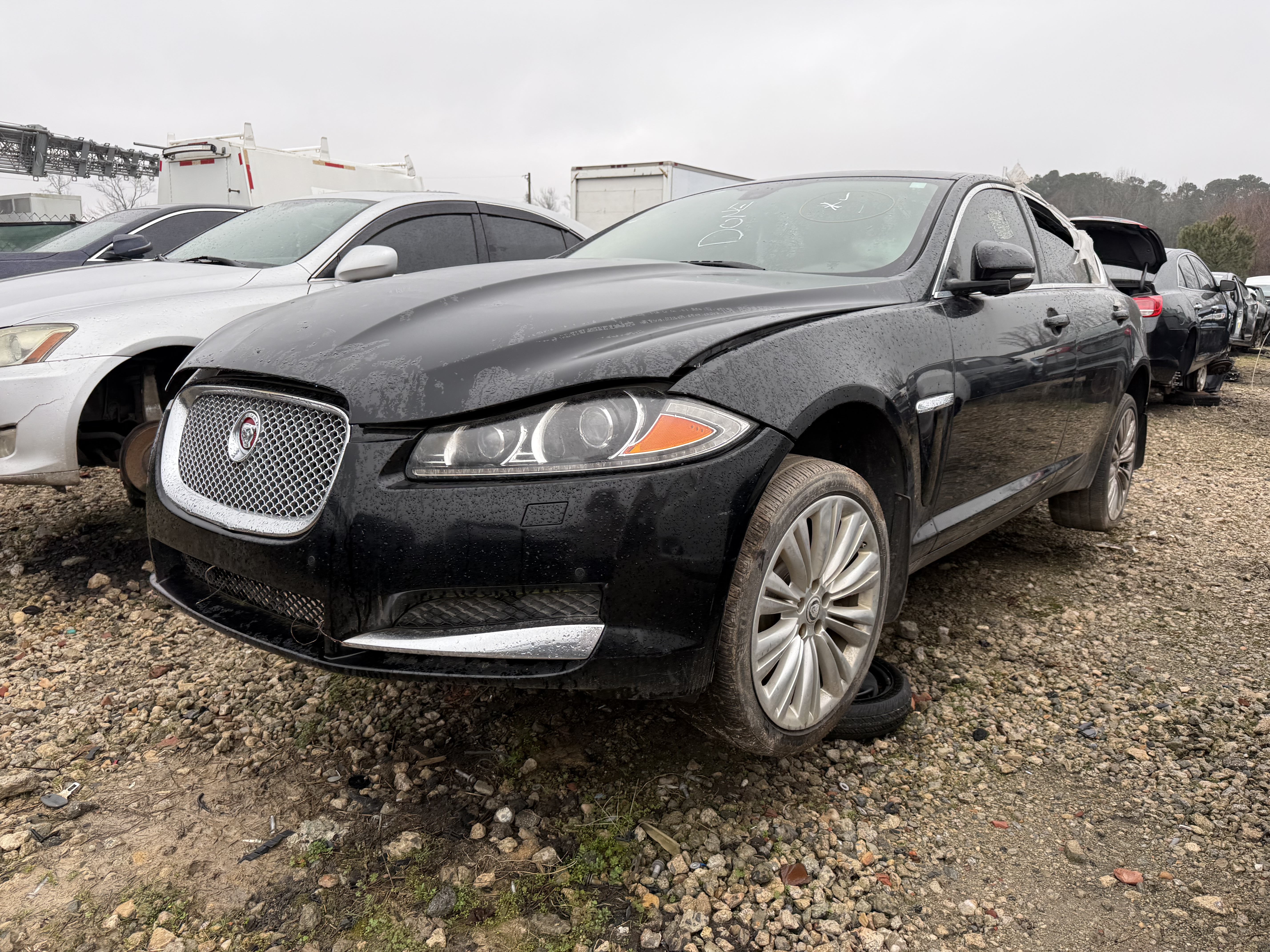 2015 JAGUAR Xf