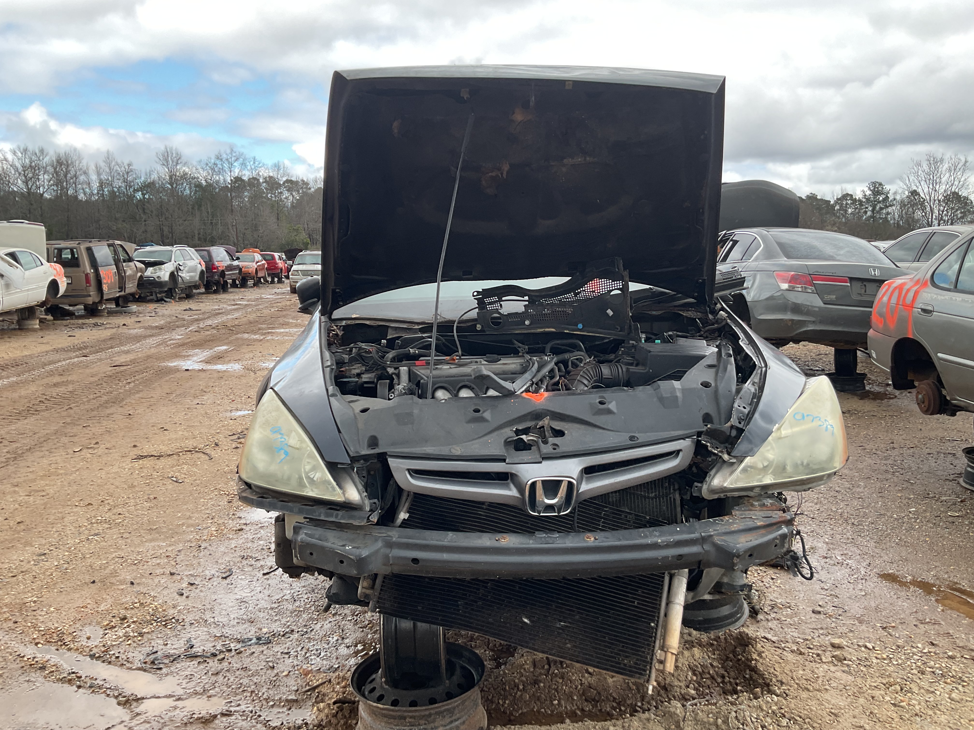 2007 HONDA Accord