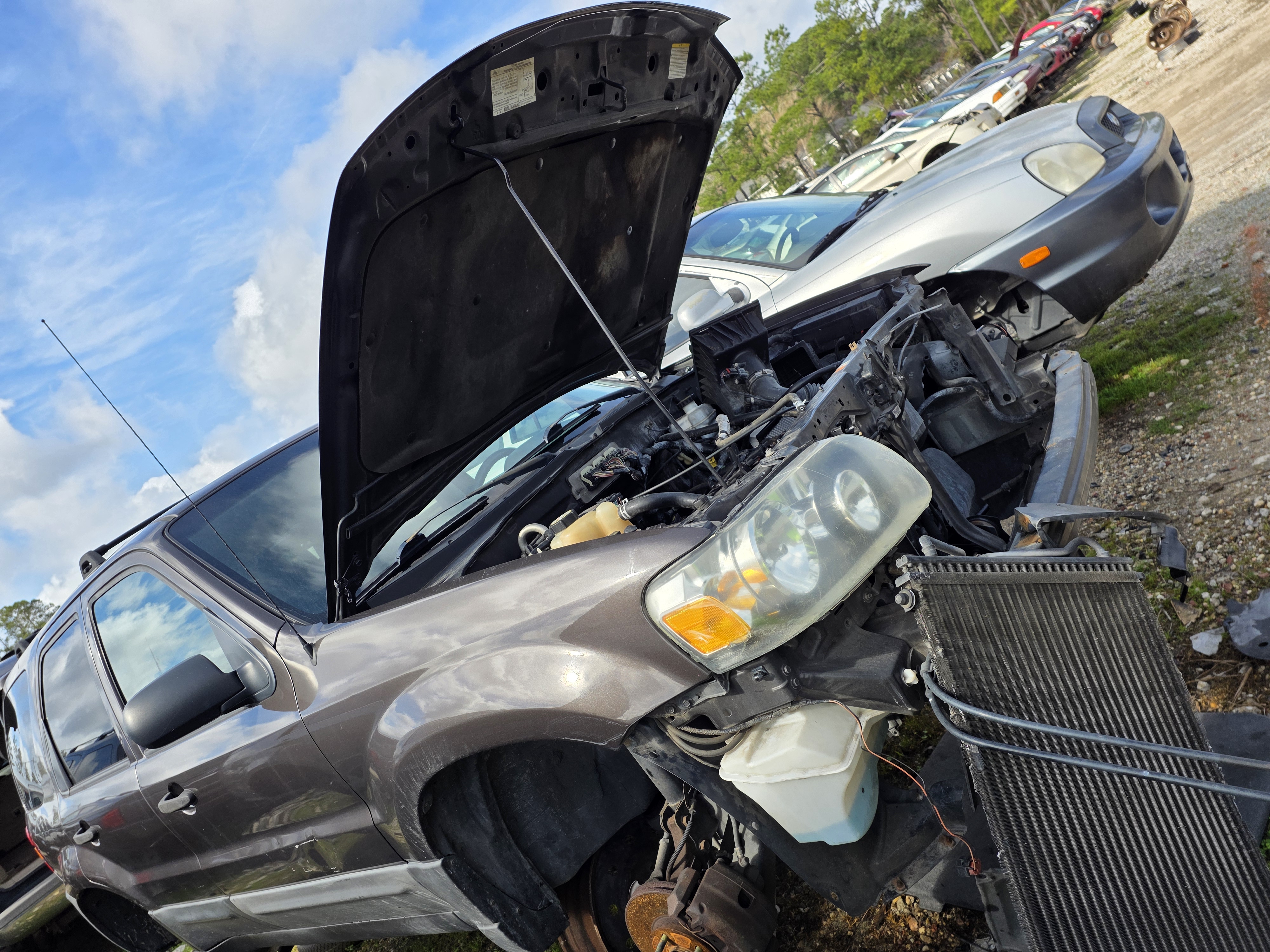 2006 FORD Escape