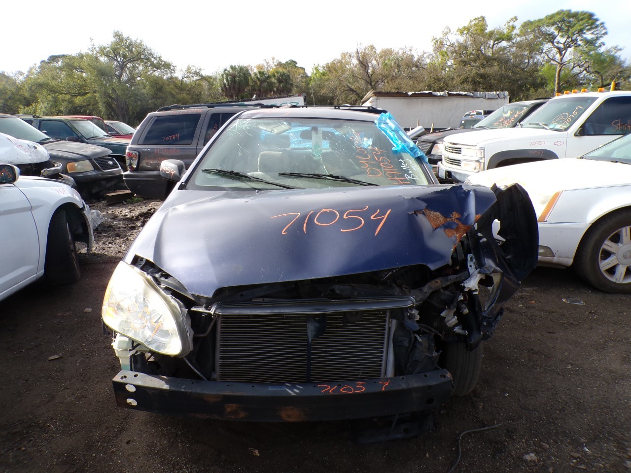 2004 TOYOTA Corolla