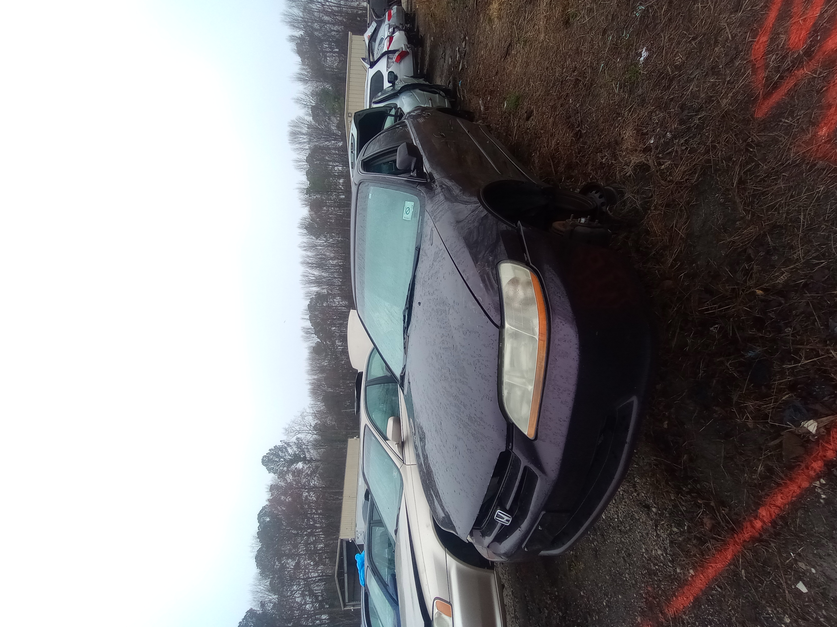 1999 HONDA Accord