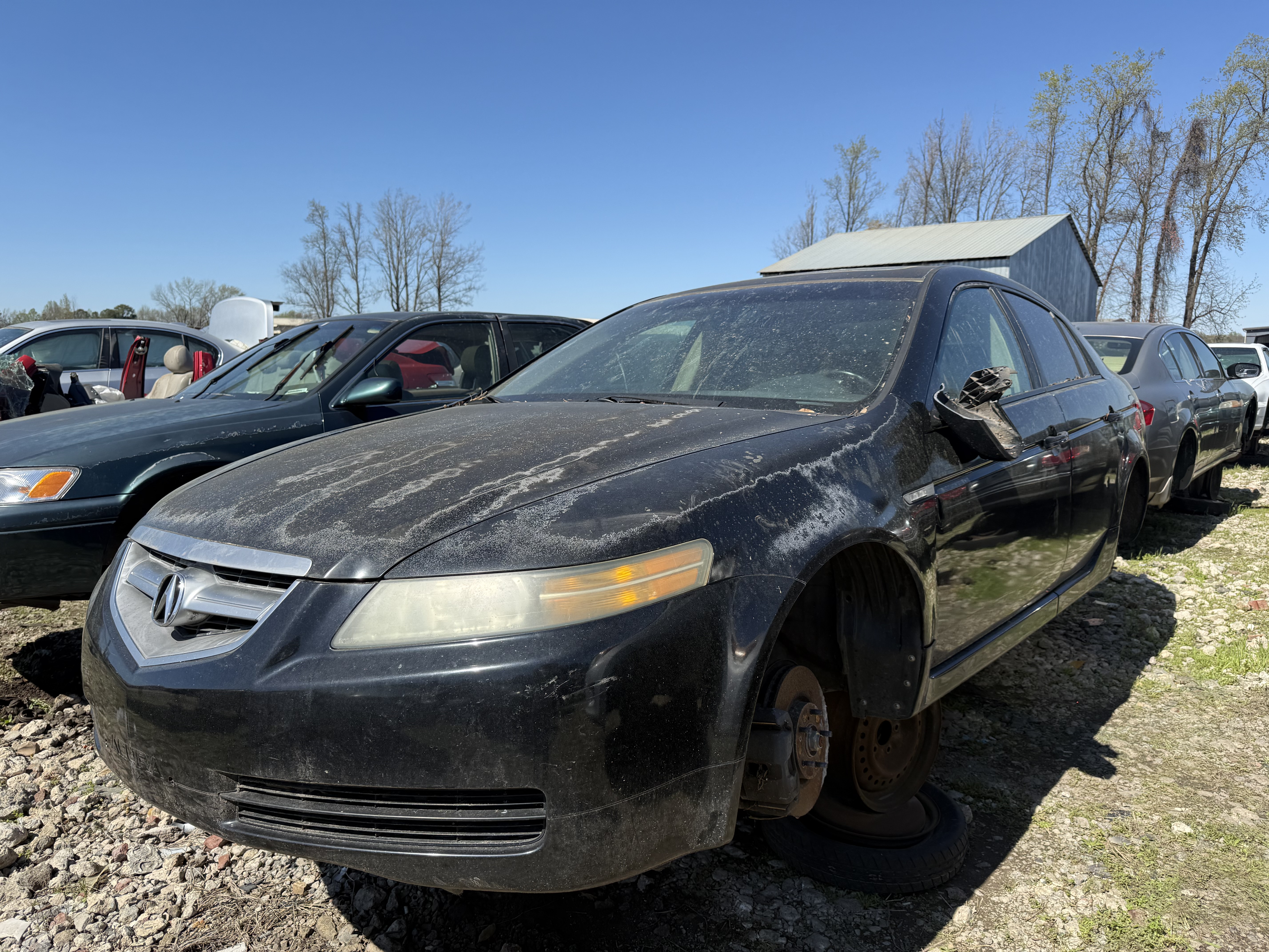 2004 ACURA Tl