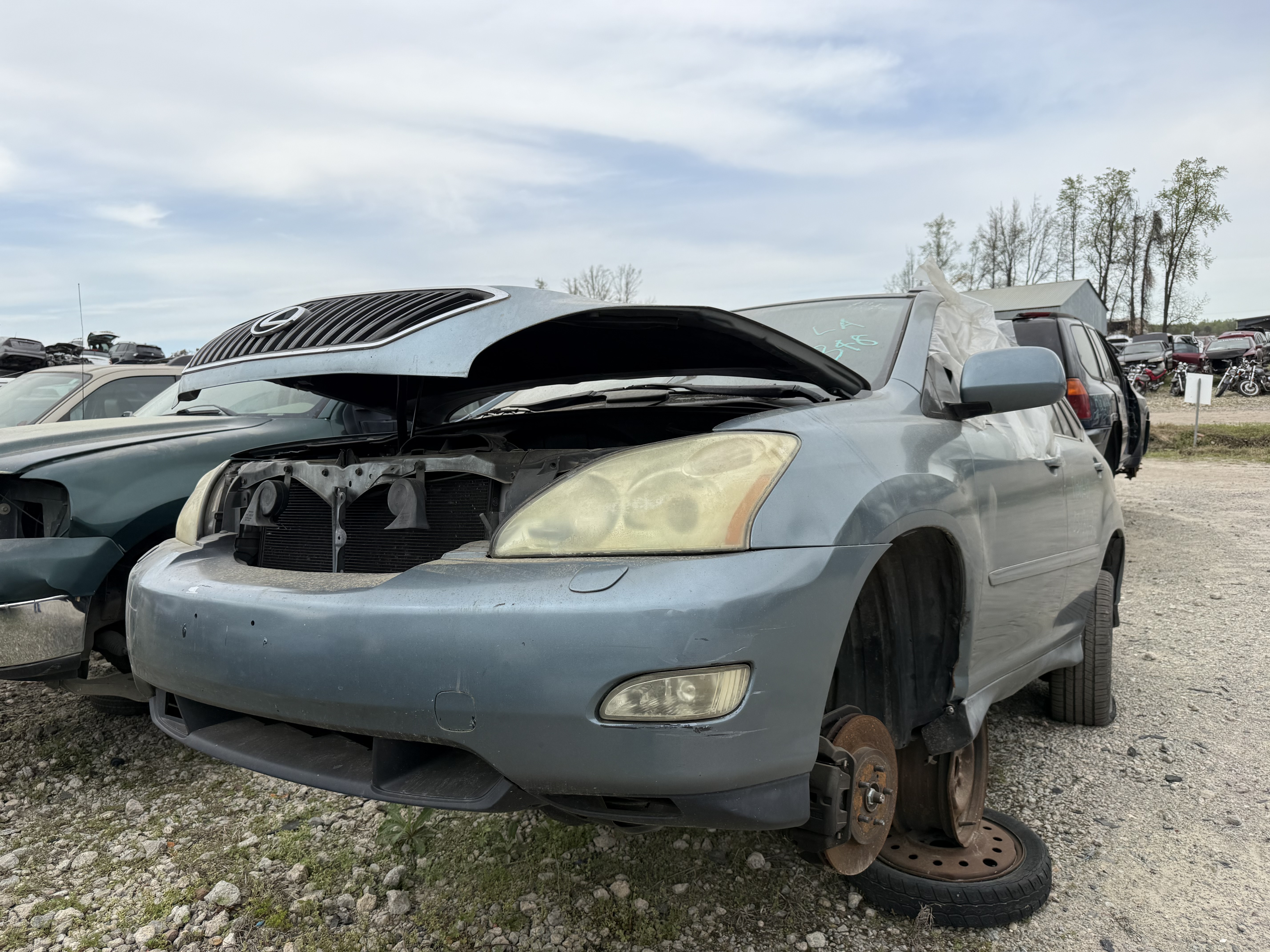 2004 LEXUS RX