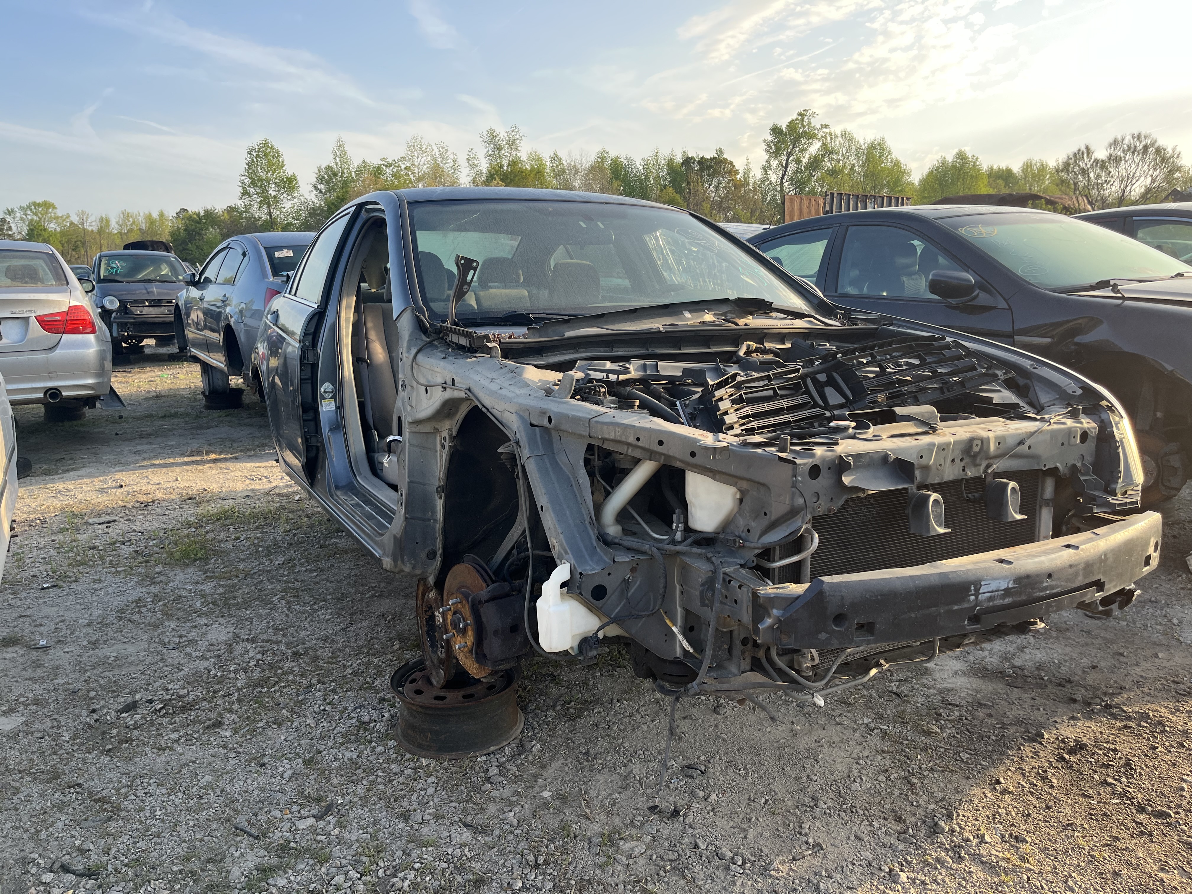 2009 HONDA Accord