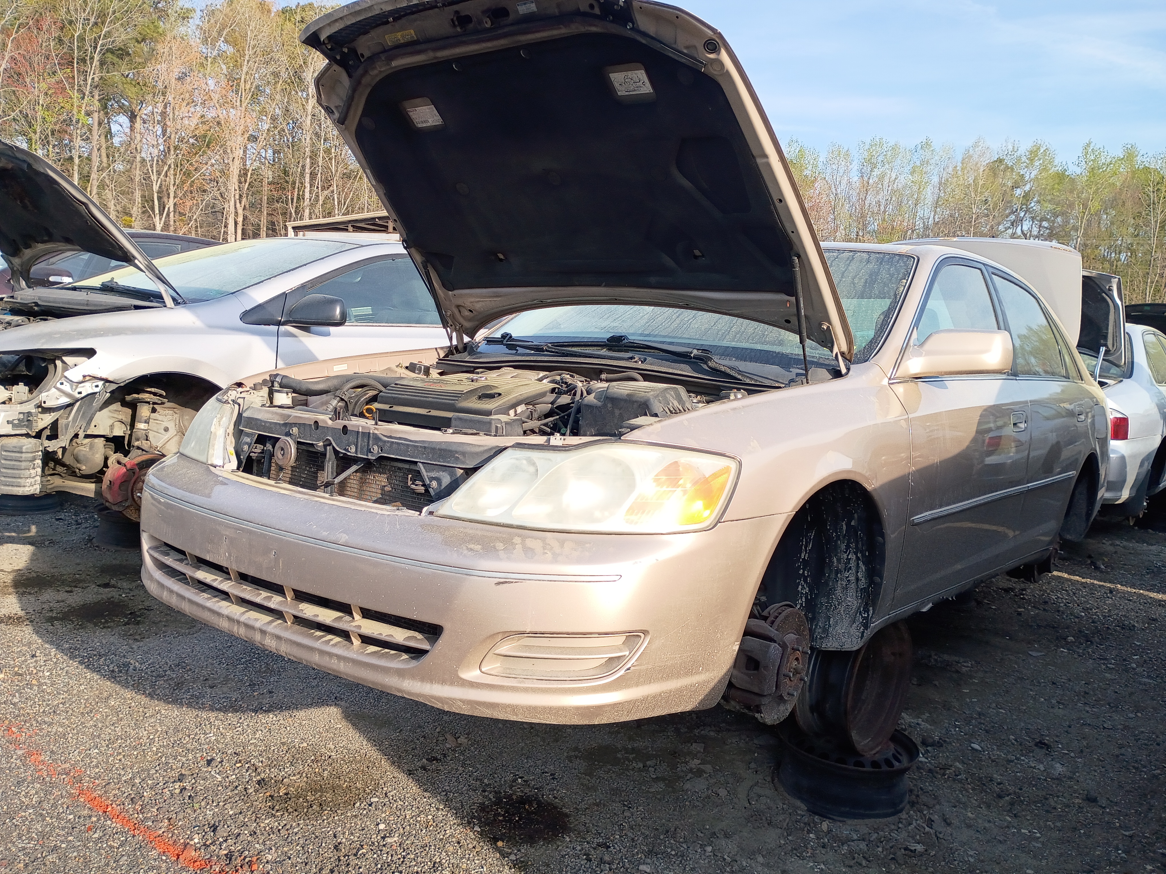 2001 TOYOTA Avalon