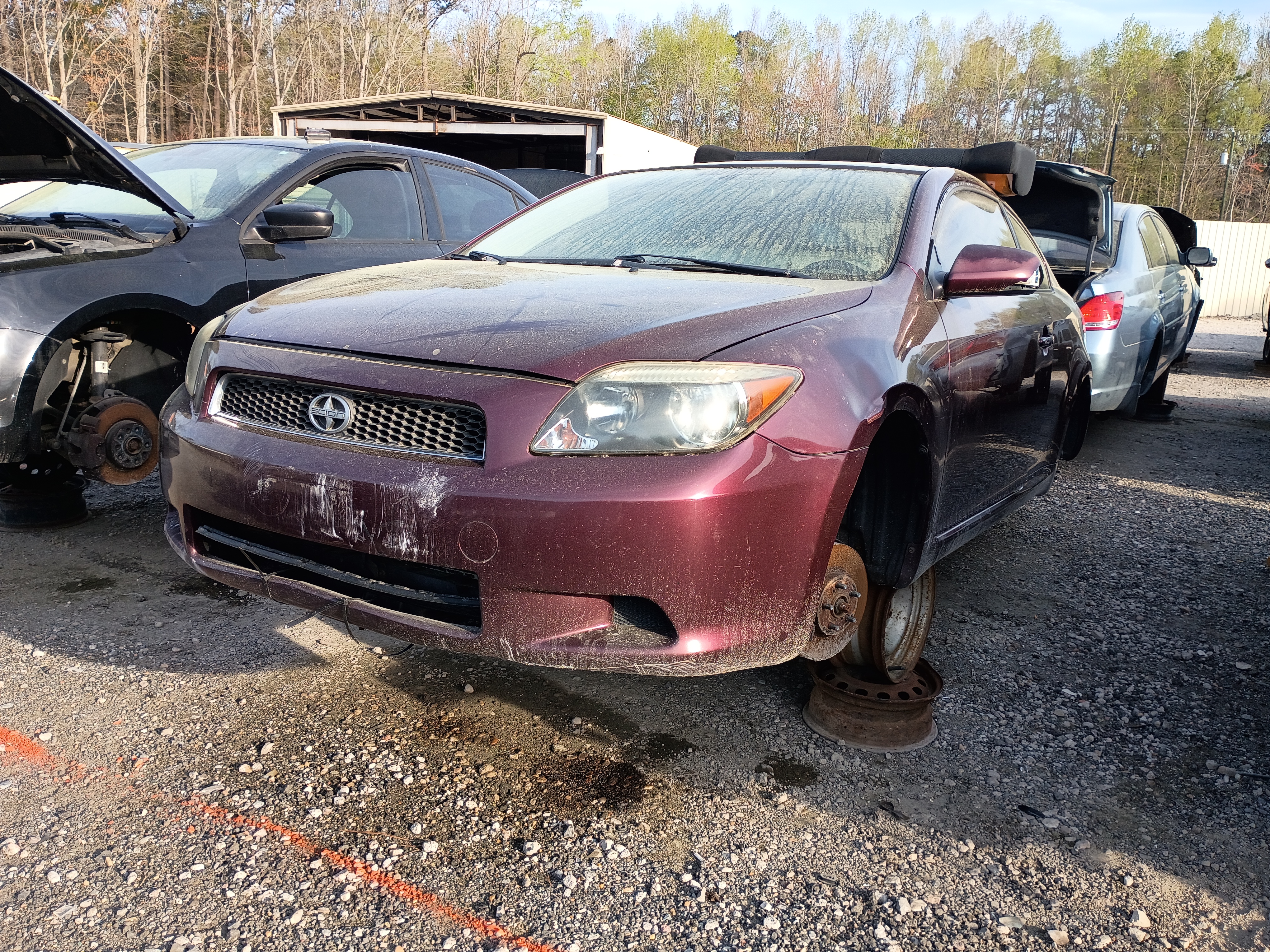 2006 TOYOTA Scion tC
