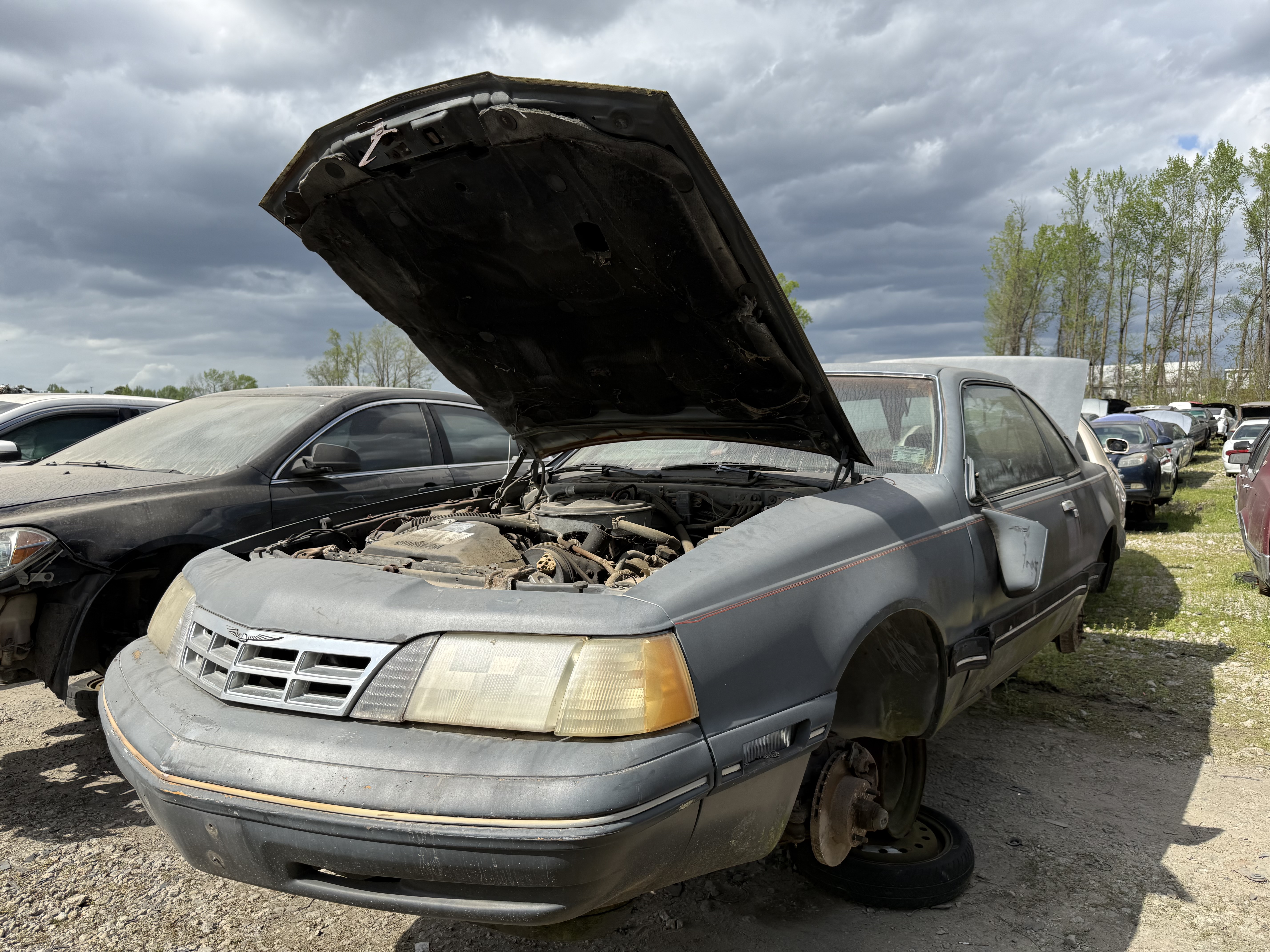 1987 FORD Thunderbird
