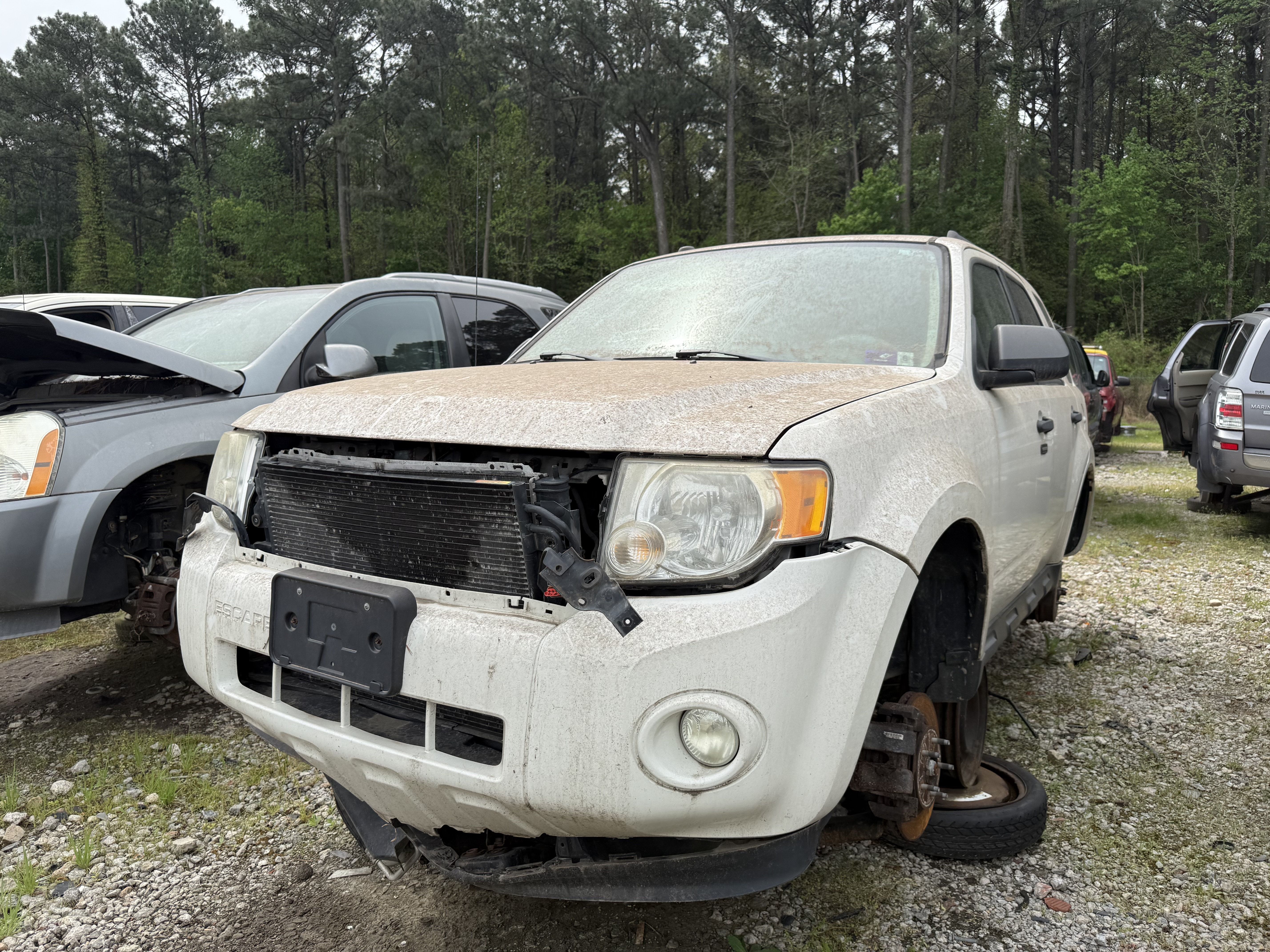 2011 FORD Escape