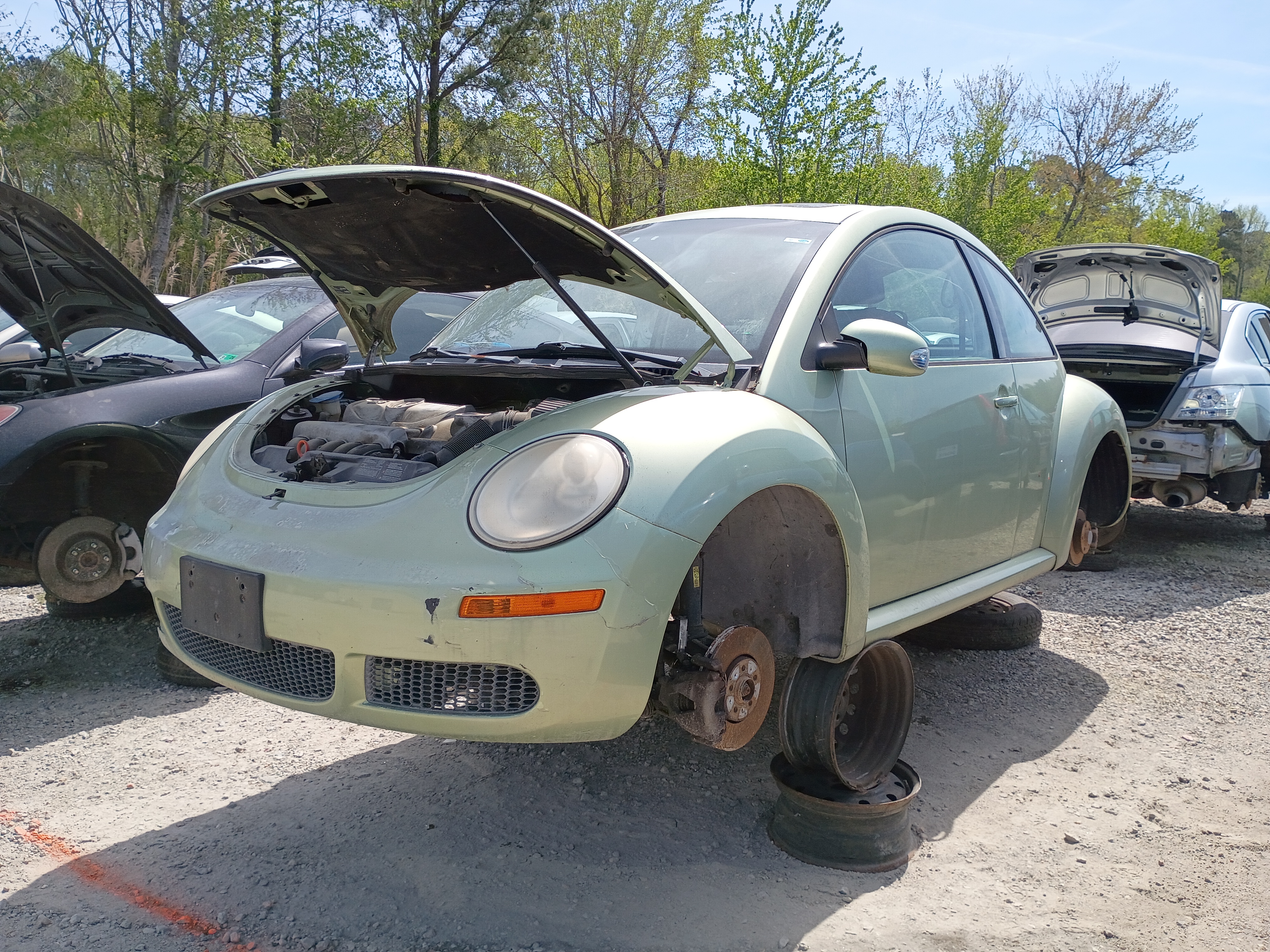 2008 VOLKSWAGEN Beetle