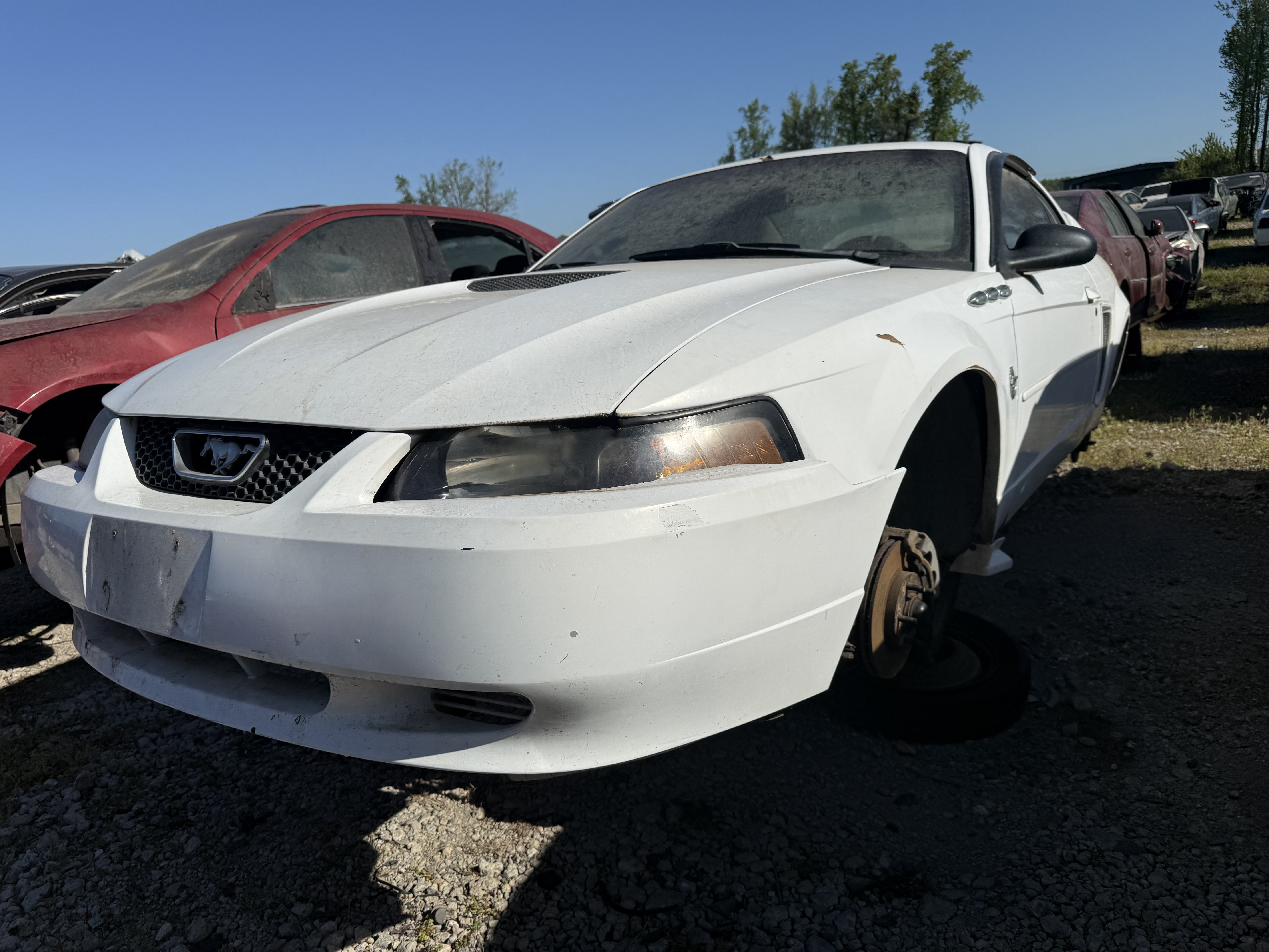 1999 FORD Mustang