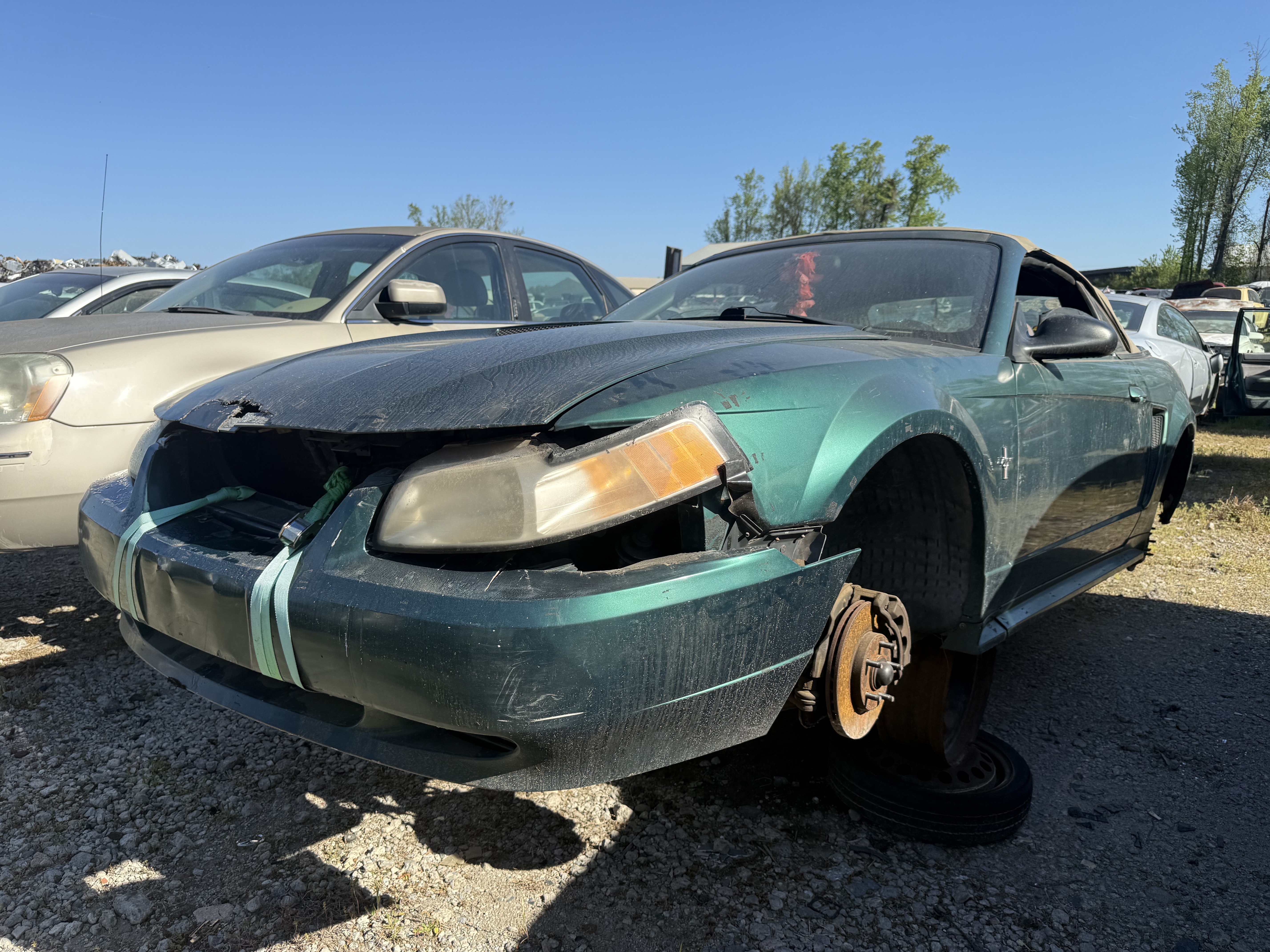 2000 FORD Mustang