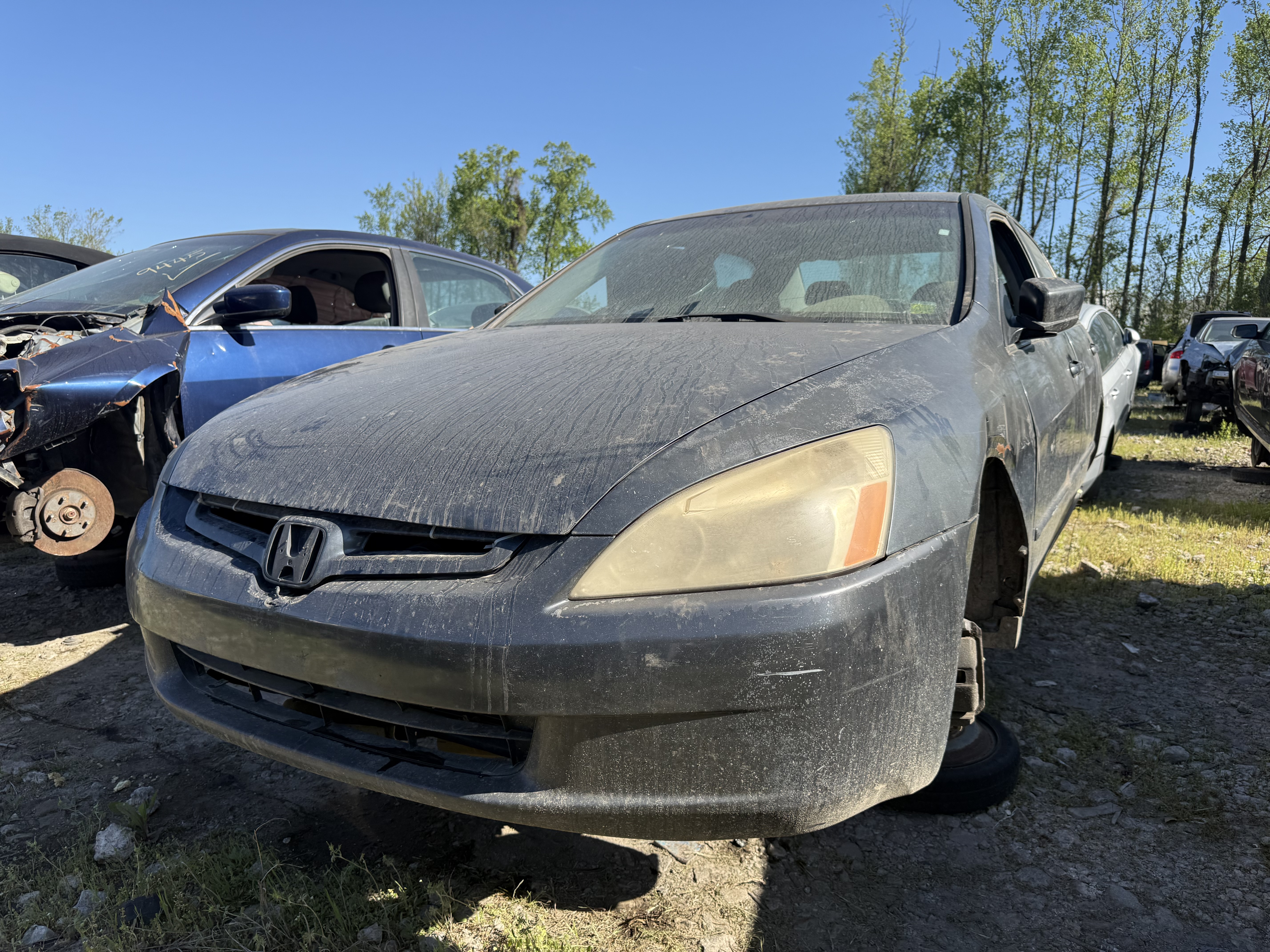 2003 HONDA Accord
