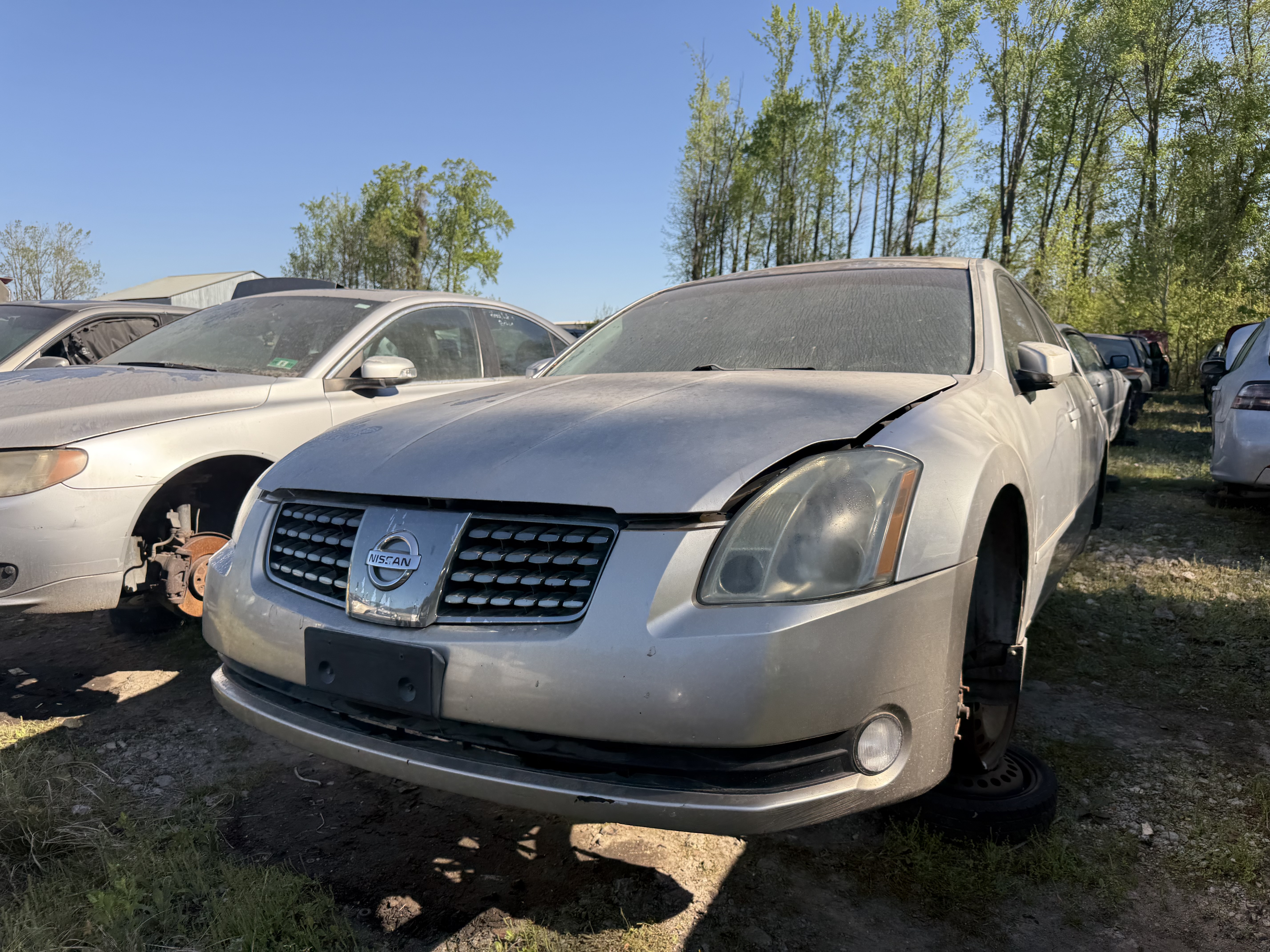 2005 NISSAN Maxima