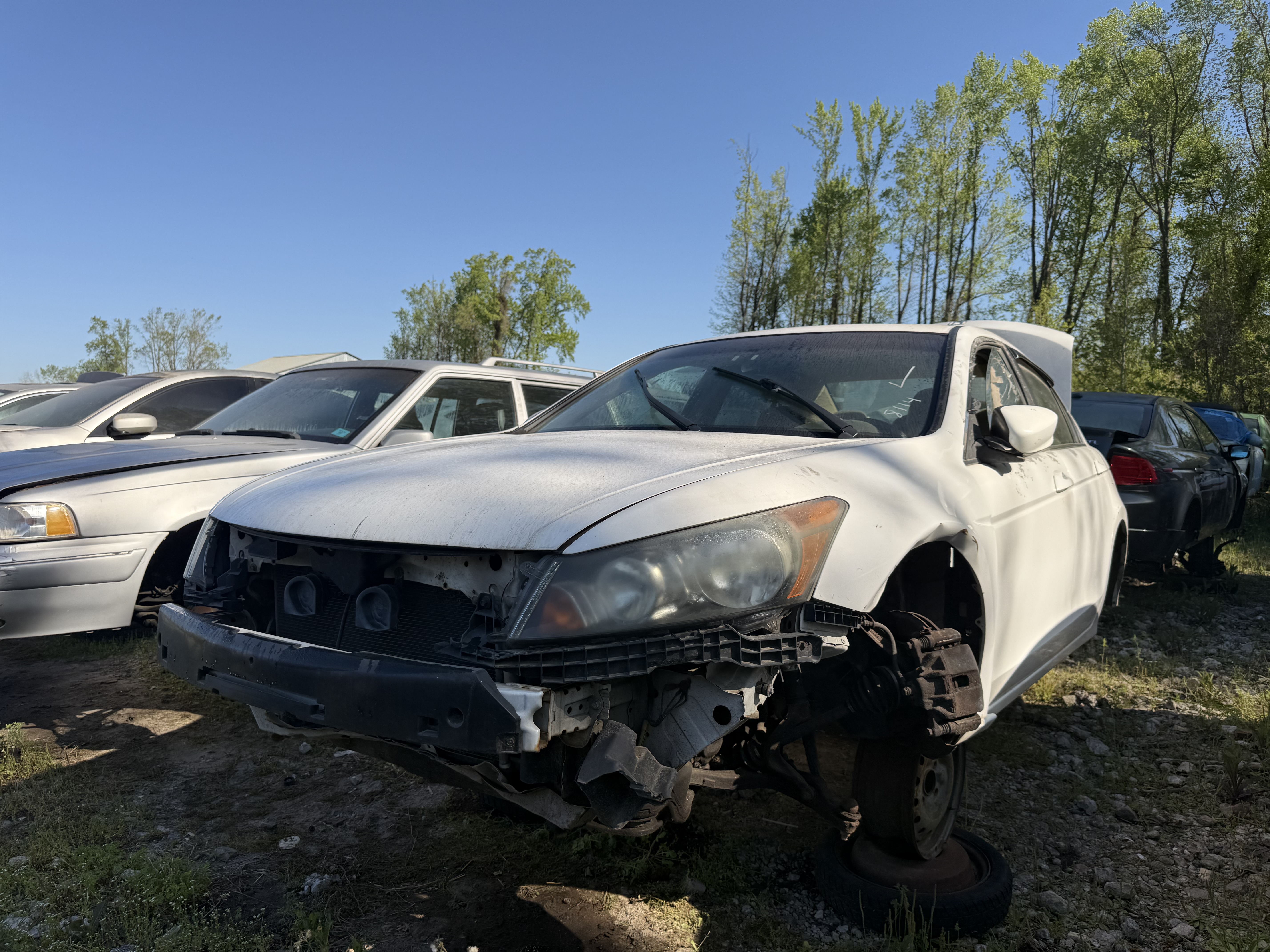2009 HONDA Accord