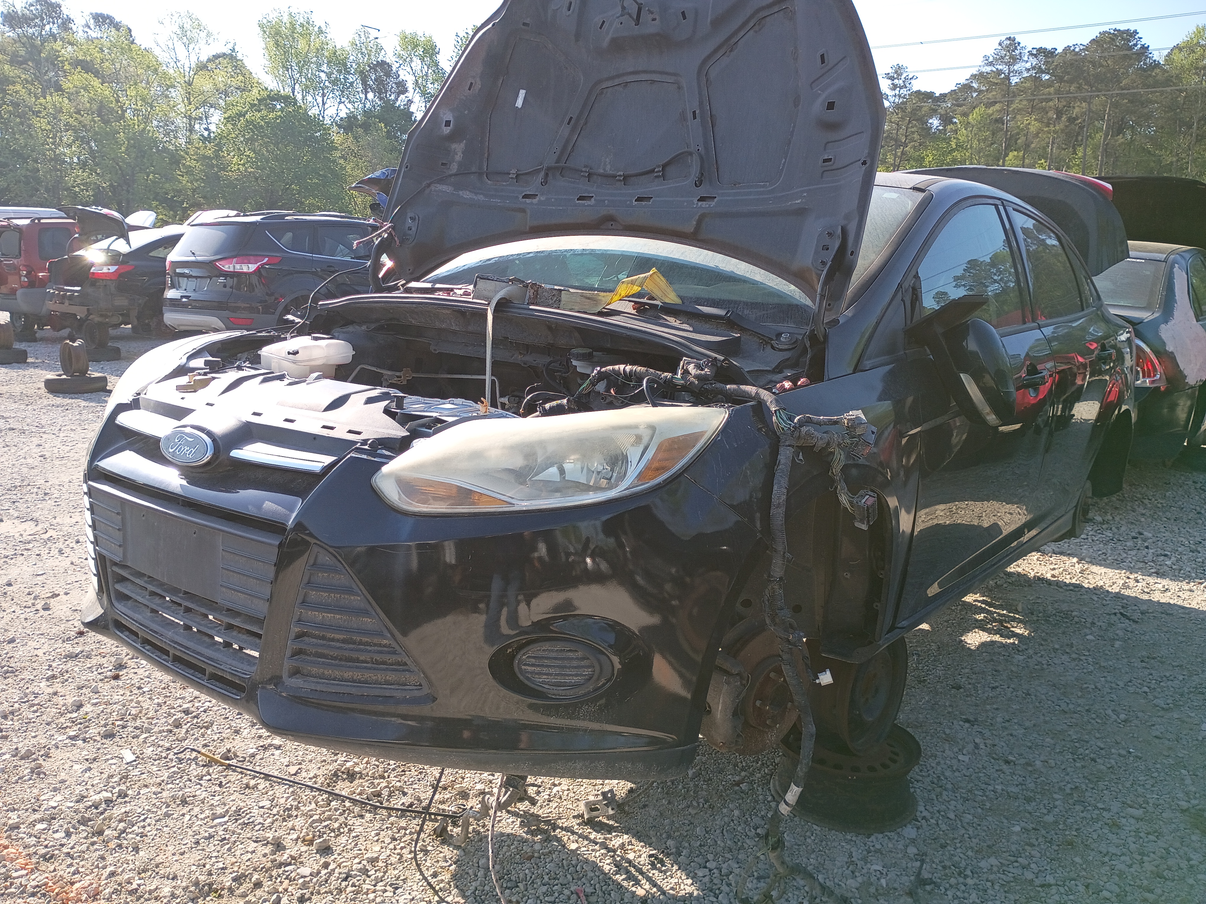 2014 FORD Focus