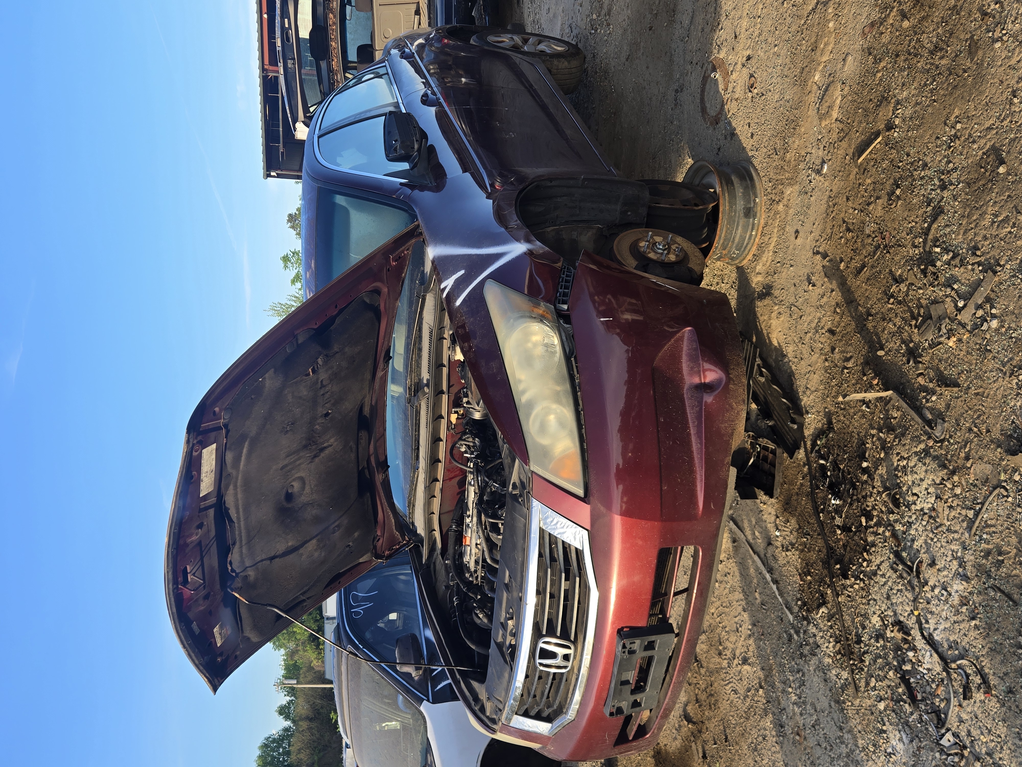 2009 HONDA Accord